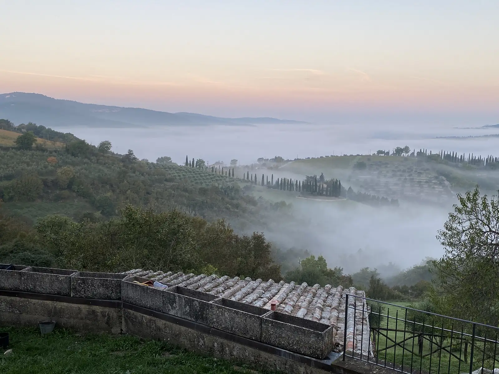 Dawn view from a stone terrace over a fog-filled Tuscan valley, with a cypress-lined farmhouse driveway rising above the mist.