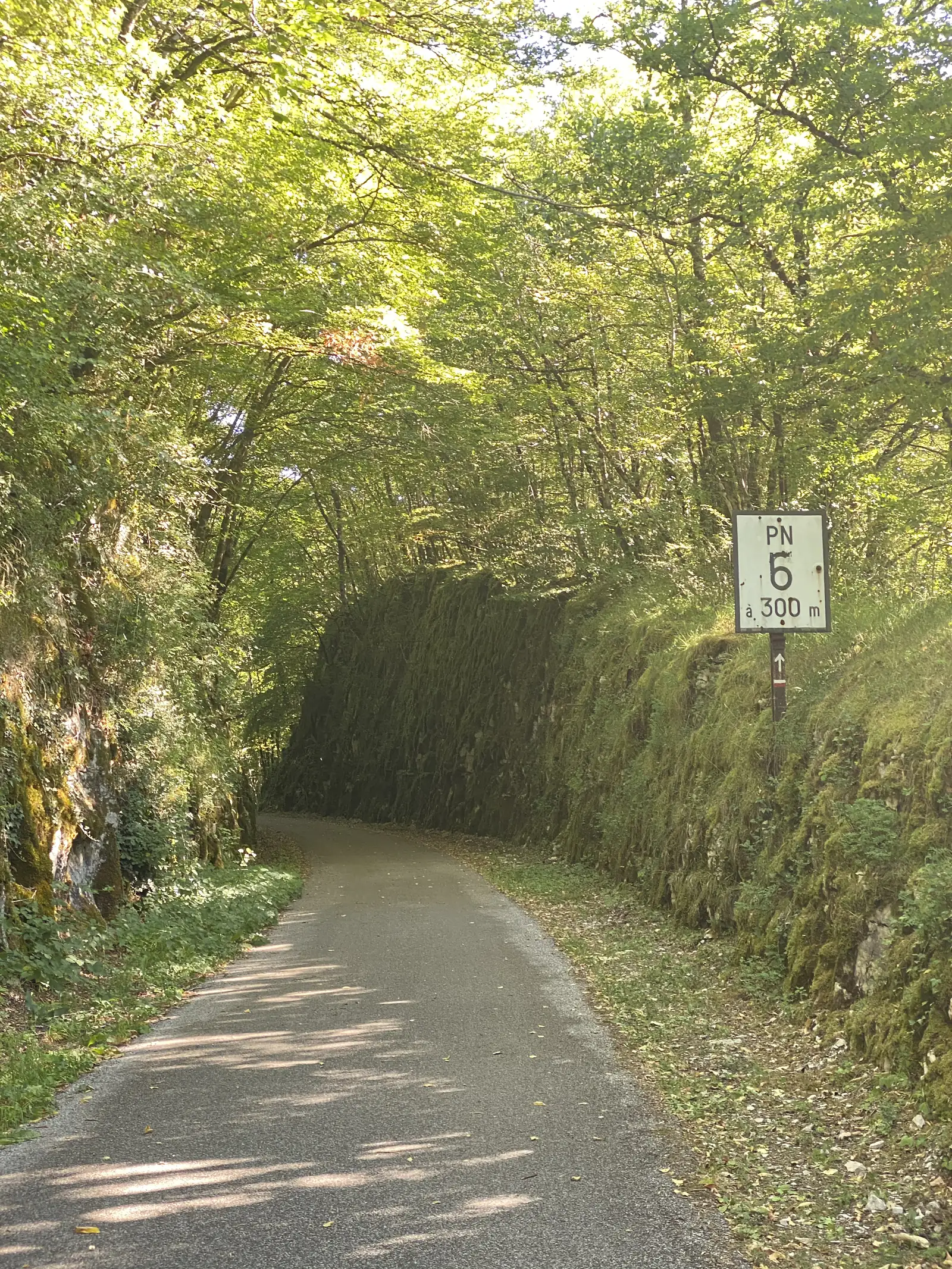 A sealed lane curves through a moss-draped rock cutting overhung with trees, a route sign reading 'PN 6 à 300 m' fixed to the bank.