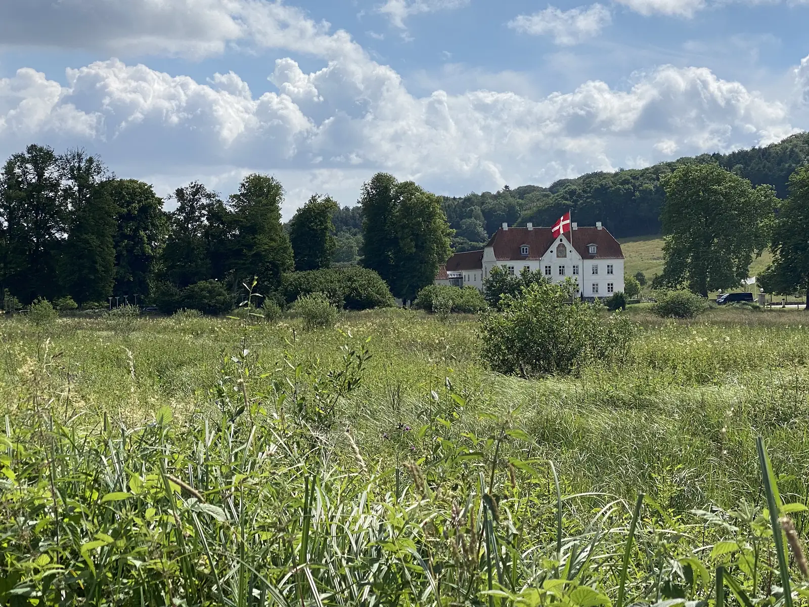 A white manor with a red-tiled roof and dormers flying the Danish flag from its ridge, seen across rough meadow with wooded hills behind.