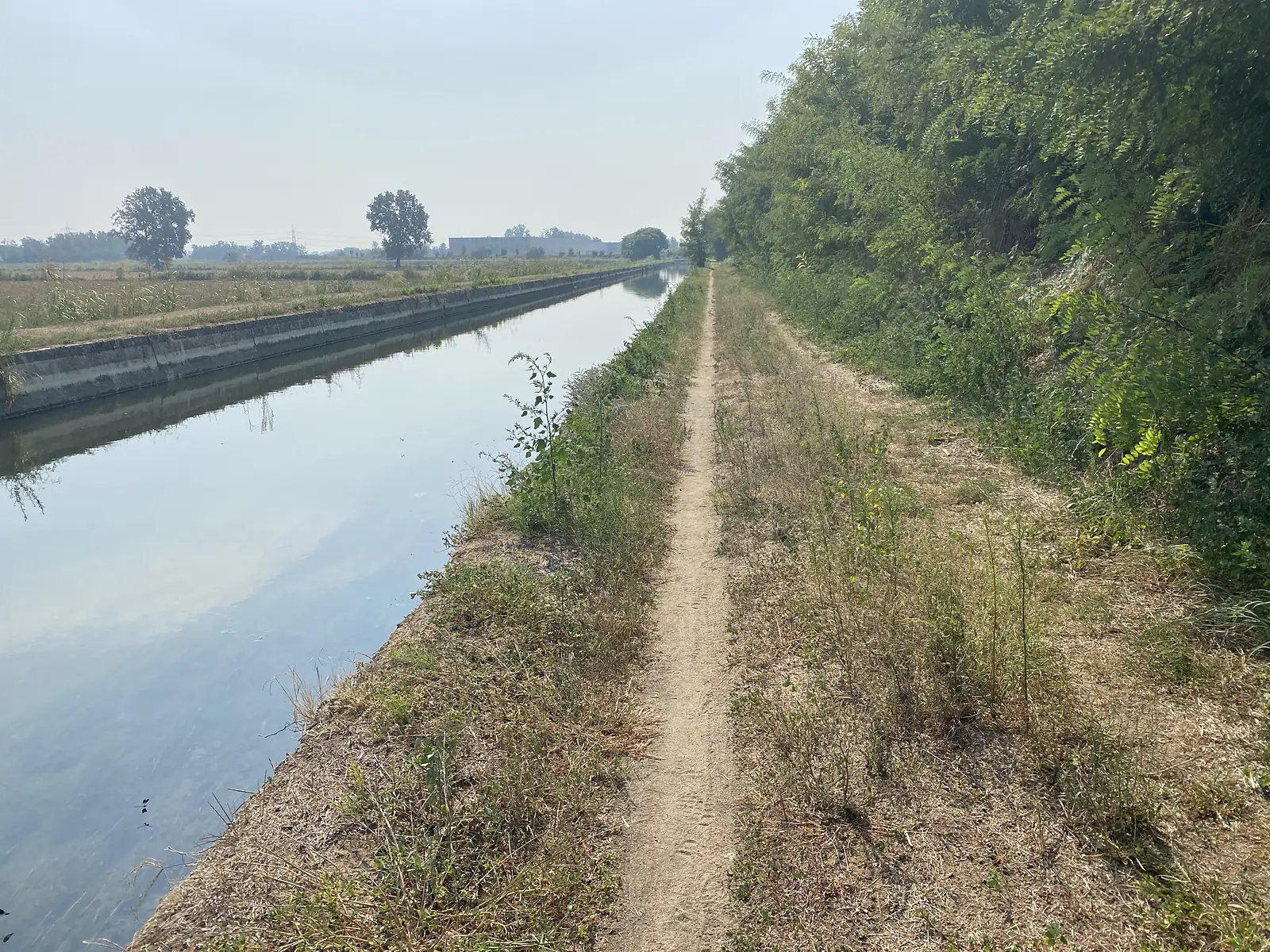 A dirt path runs along the top of a concrete-lined irrigation canal, trees crowding the bank on one side and open fields on the other.