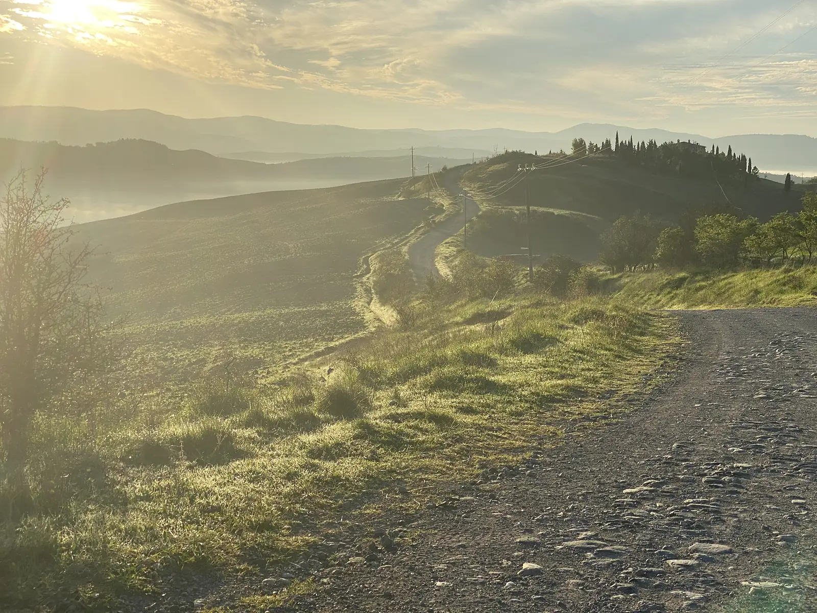 A stony farm track curving away over sunlit rolling hills, with a cypress-lined farmhouse on a ridge and mist lingering in the valley below.