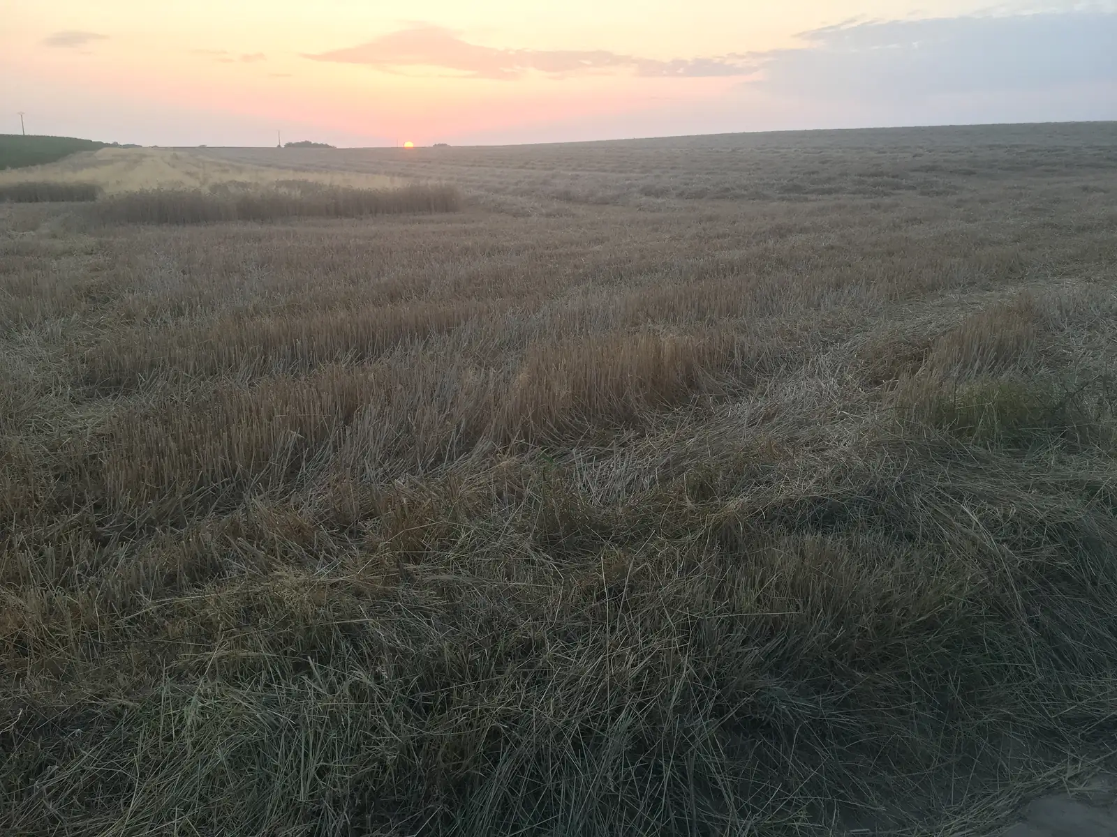 The sun sits low on the horizon over a harvested wheat field, its orange glow spreading across a band of cloud above rolling farmland.