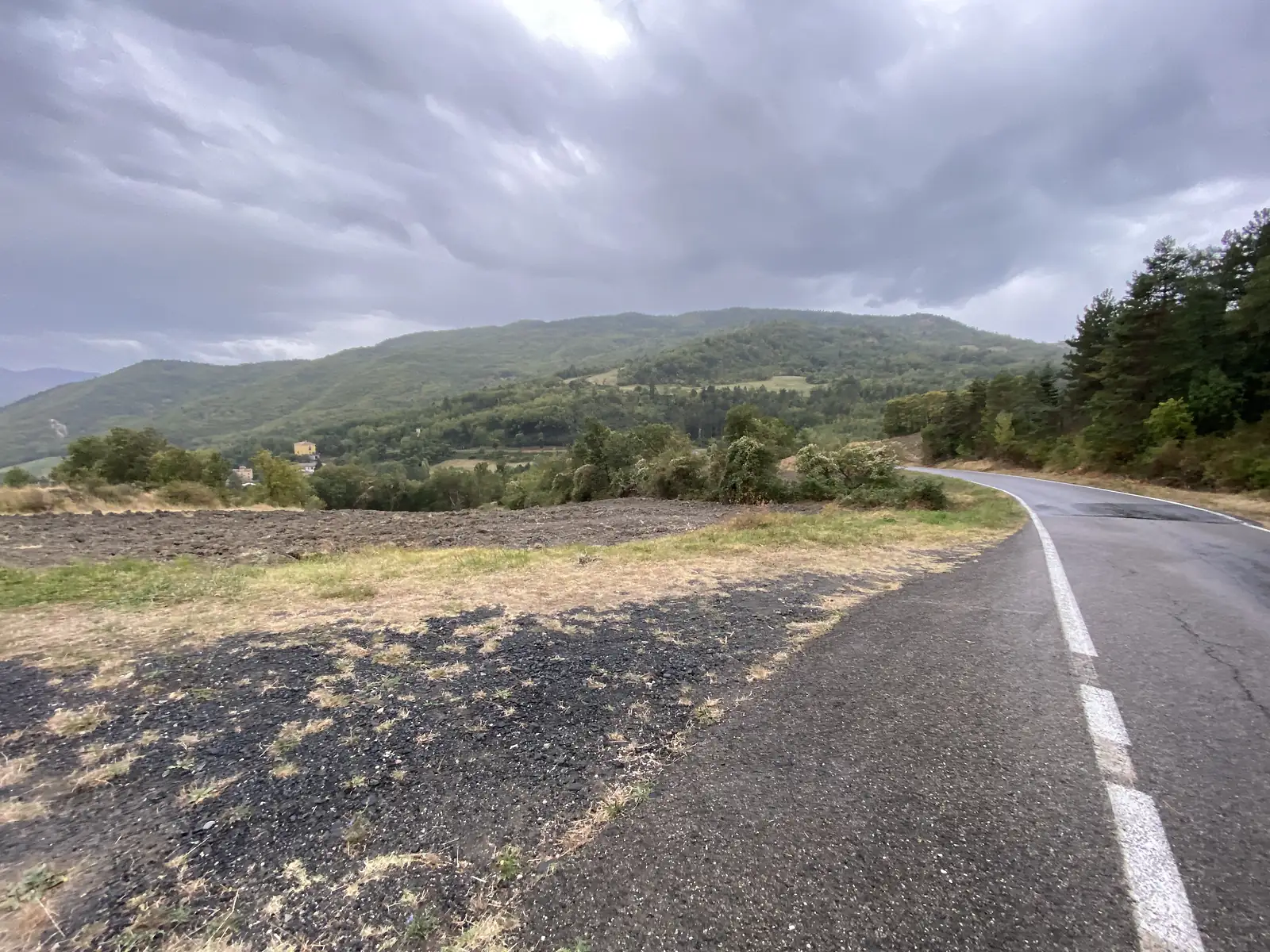 A tarmac road curves alongside a ploughed field and pine trees, with wooded hills fading into rain-laden cloud beyond.