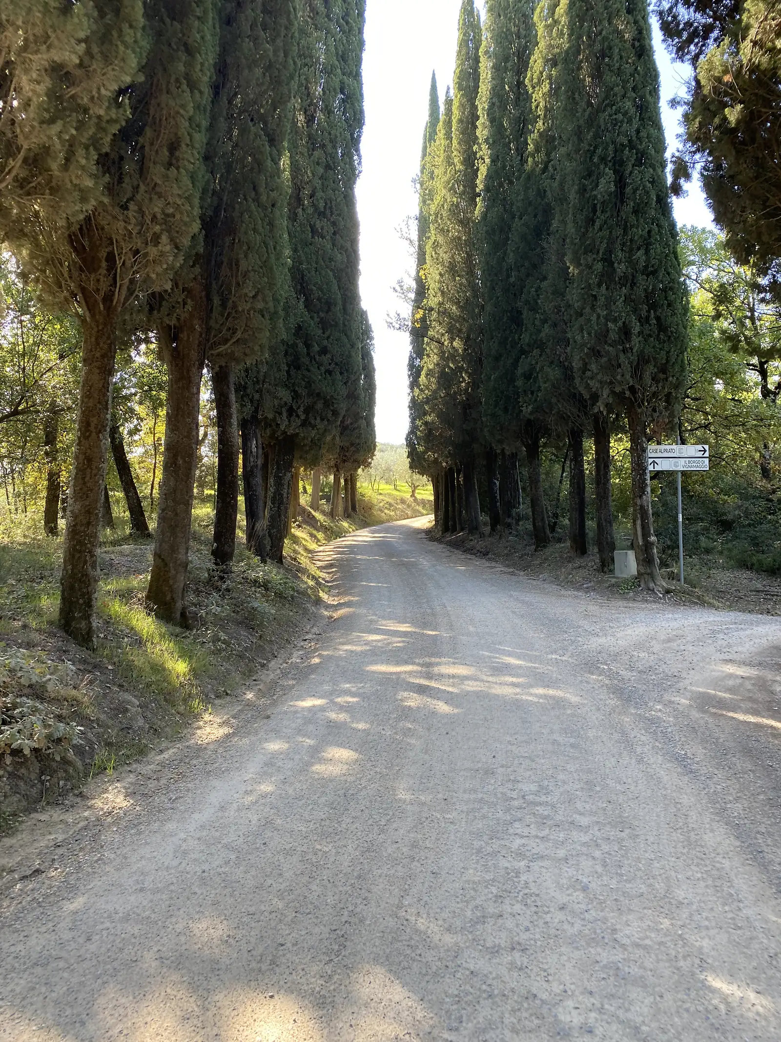 A gravel track lined with tall cypress trees and a wooden fence, with a signpost reading "Case al Prato" and "Il Borgo di Vignamaggio".