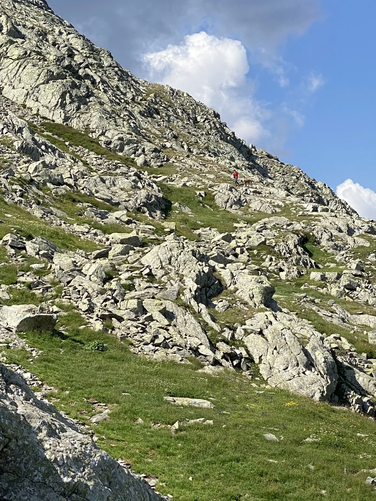 A hiker in a red jacket walking two dogs along a rugged, boulder-strewn ridge high above the Grand-Saint-Bernard valley.