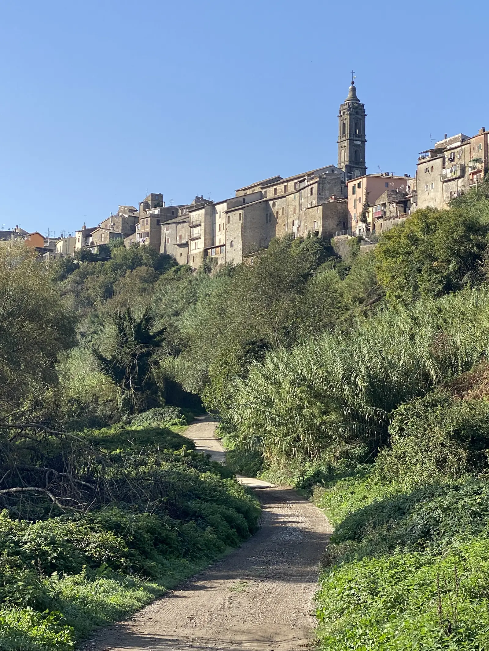 A hilltop Italian town with a tiered church bell tower rising above tiled rooftops, seen across trees from a dirt lane below.