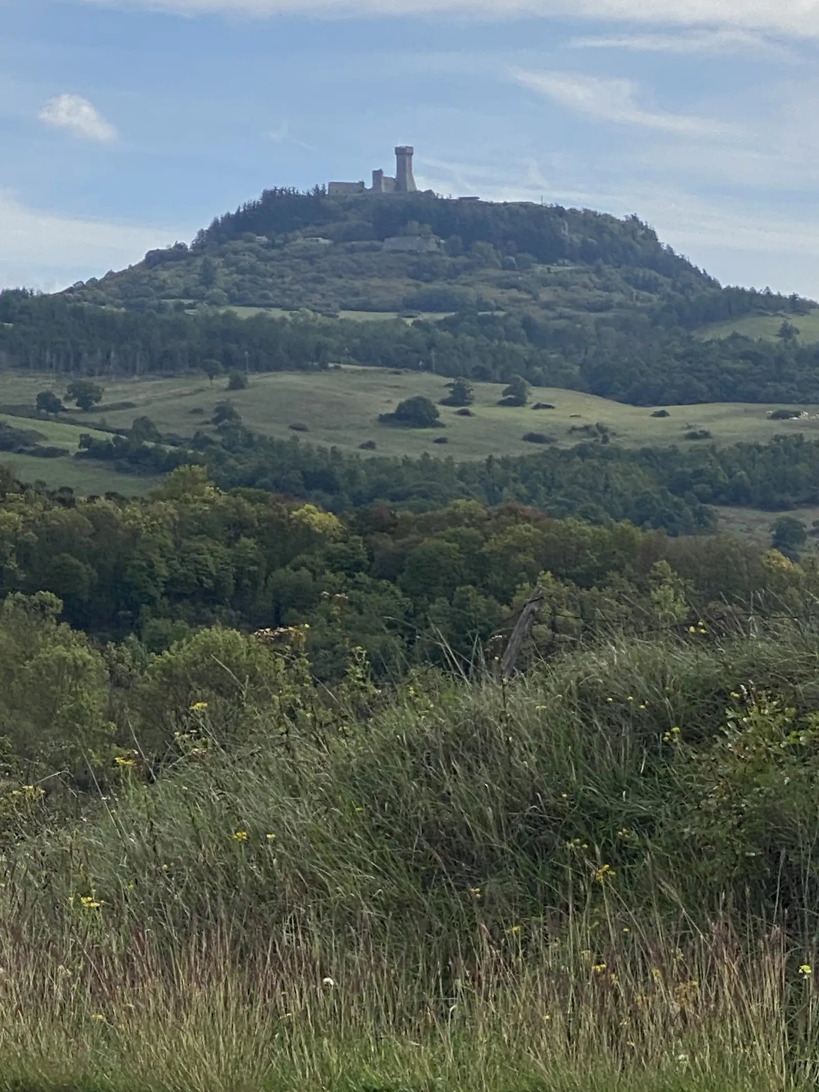 Rolling green hills with a ruined tower on a distant hilltop, seen past tall grasses and yellow wildflowers in the foreground.