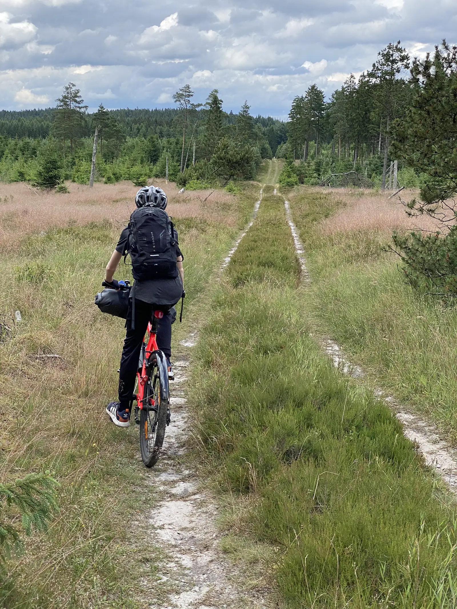 A rider with a rucksack on a loaded red bike following a faint double-track through heather and young pines towards conifer woods.