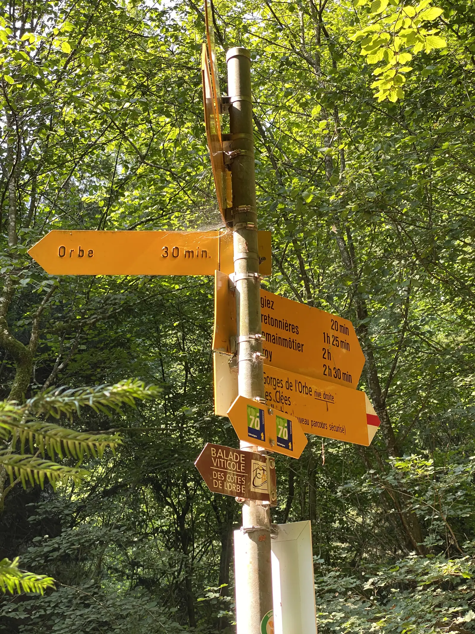 A cluster of yellow hiking signposts at a forest junction, pointing to Orbe and other villages, with a Via Jura waymark and a vineyard-trail sign attached below.