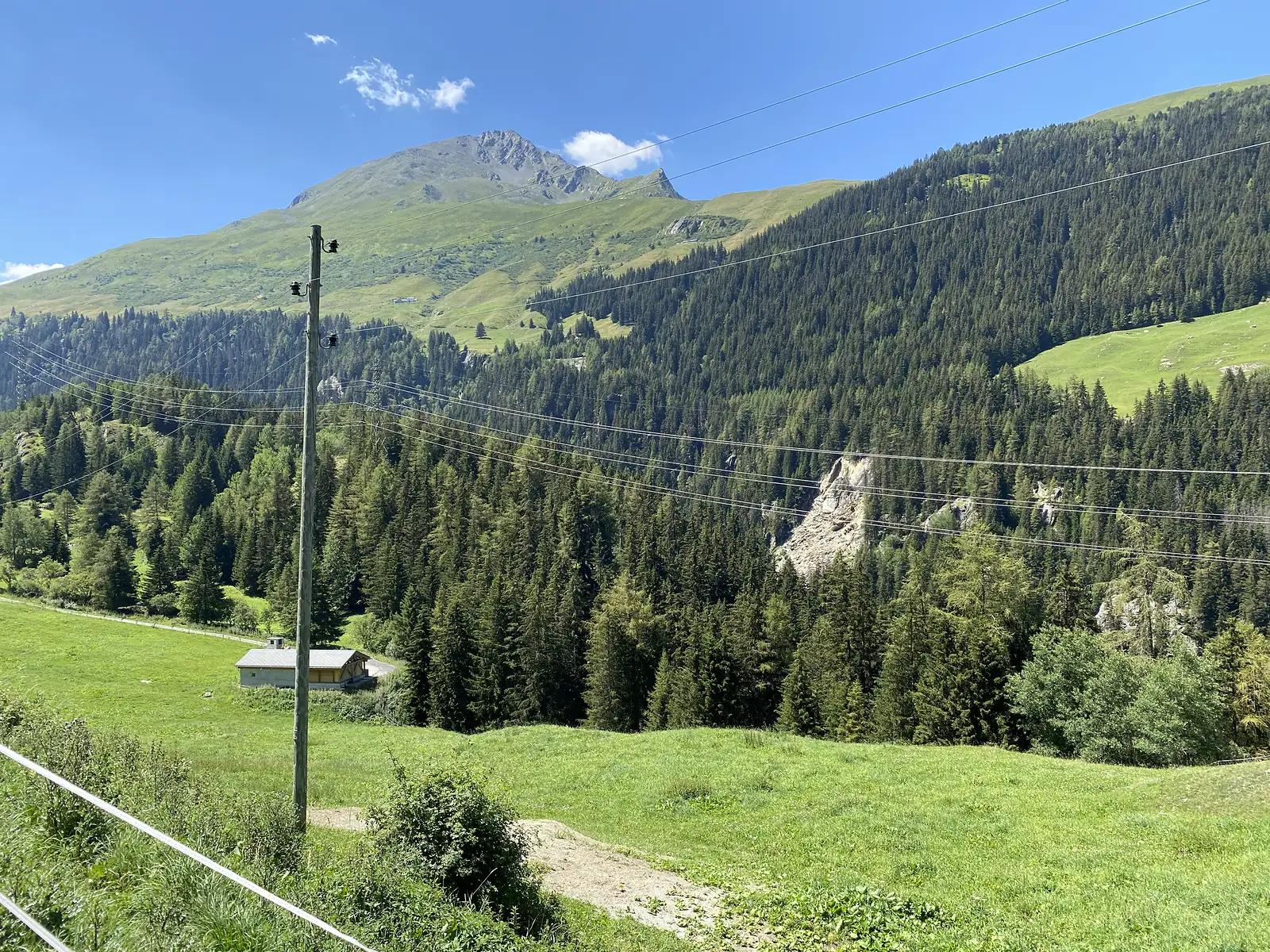 A wooden power-line pole in an alpine meadow, with a small barn below and a rocky mountain summit rising above dense conifer forest.