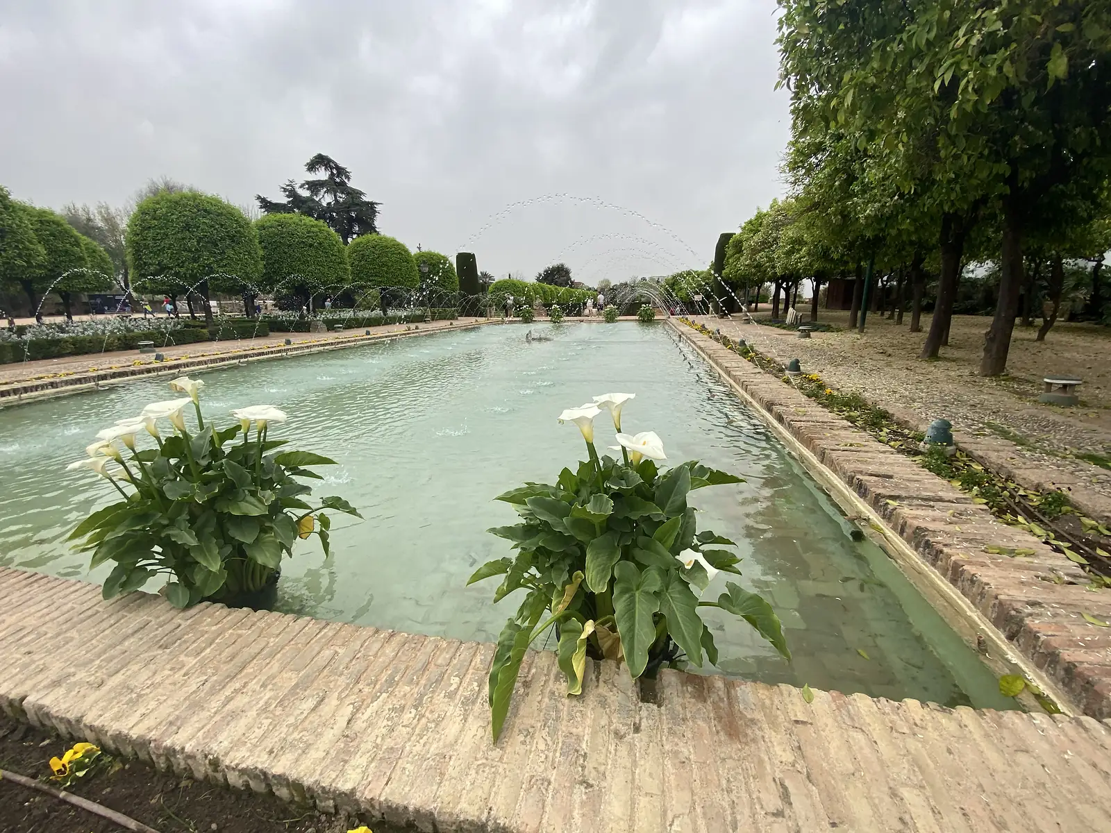 A long rectangular garden pool crossed by arcing water jets, clipped trees down both sides and potted arum lilies at the near end.
