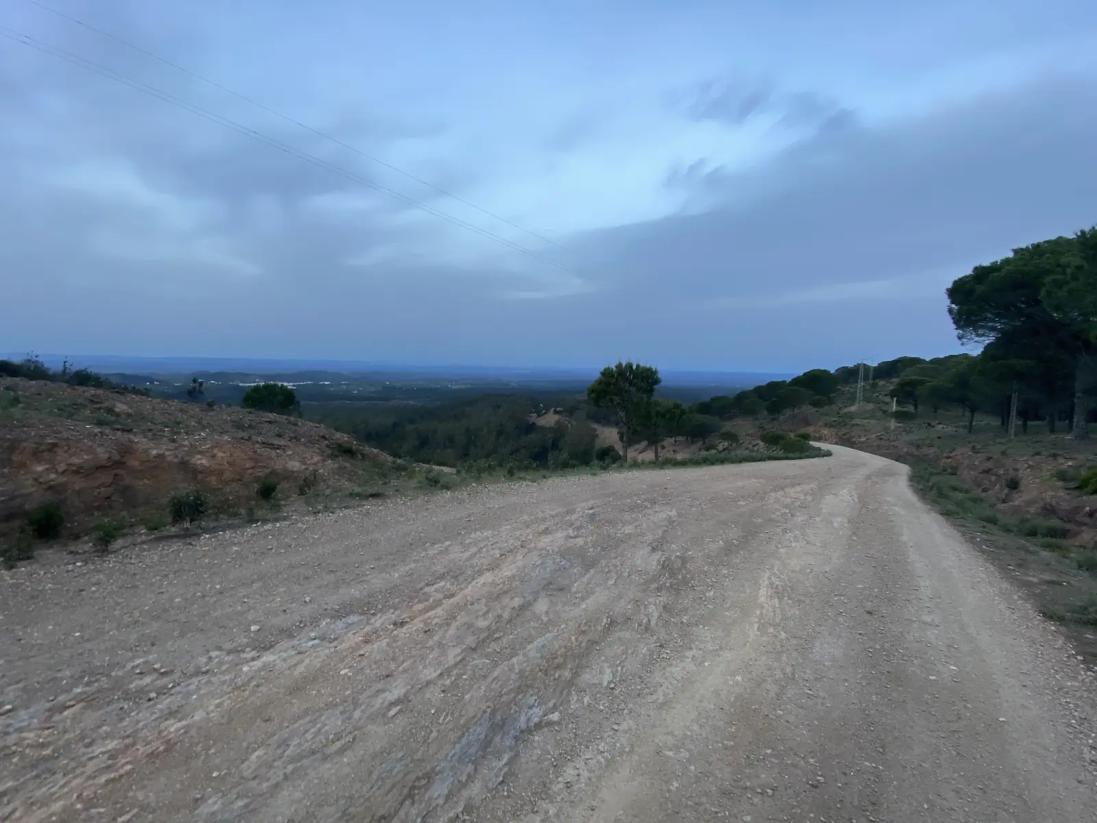 A wide gravel track running along a ridge at dusk past umbrella pines, with forested hills stretching away to a hazy horizon.