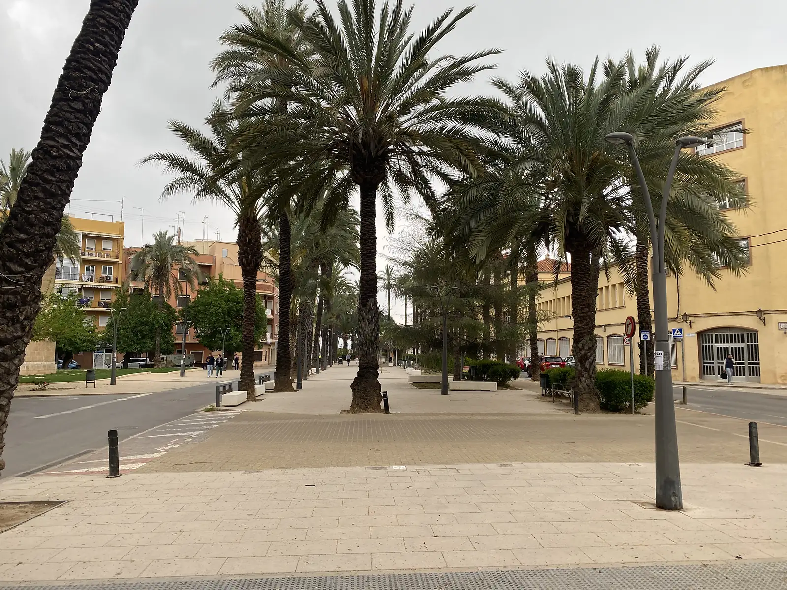 A broad paved avenue lined with tall date palms running between apartment blocks and a yellow public building.