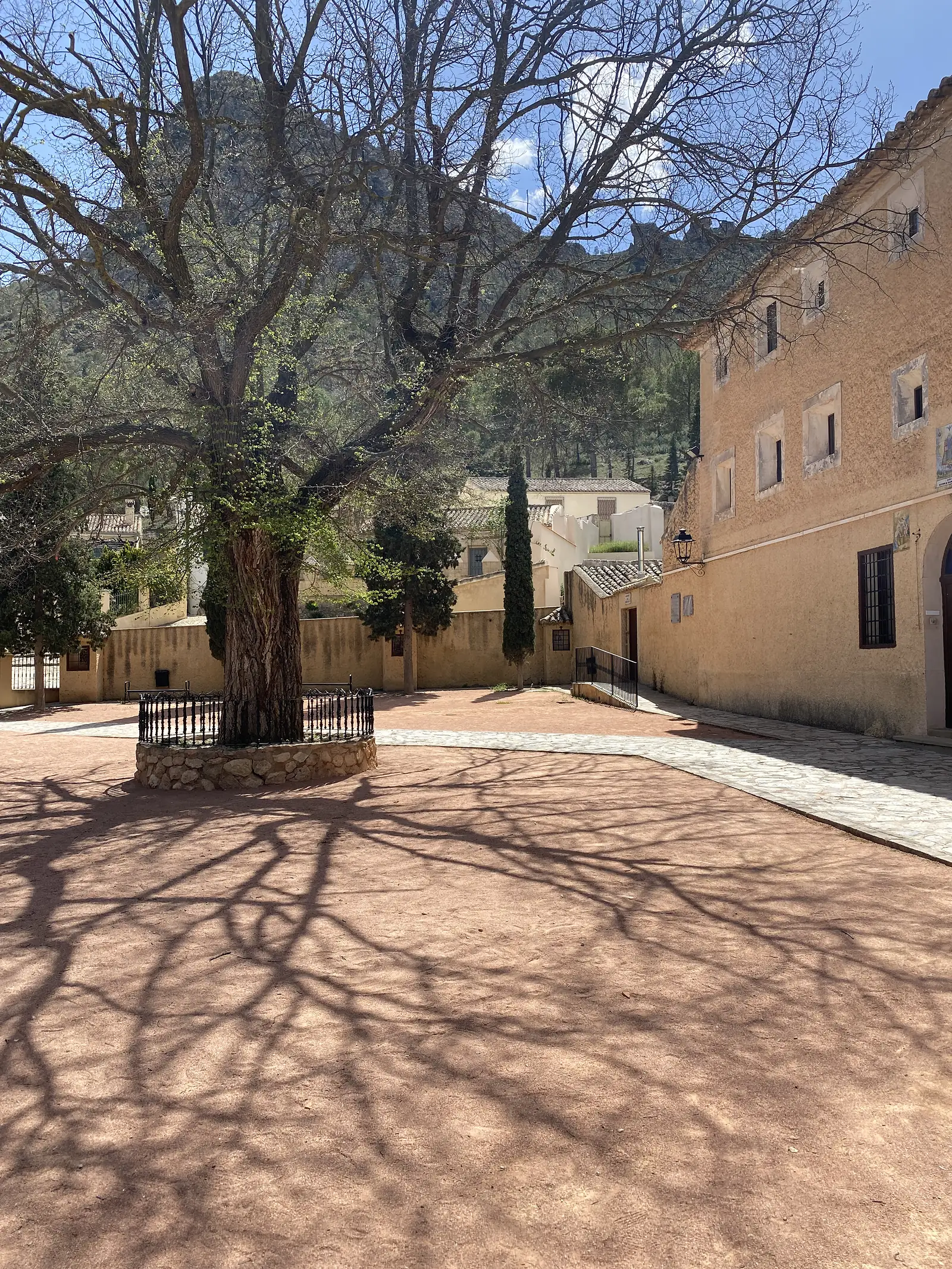A huge old tree ringed by an iron guard on a red-earth courtyard before an ochre-rendered monastery building, with a rocky mountain rising behind.