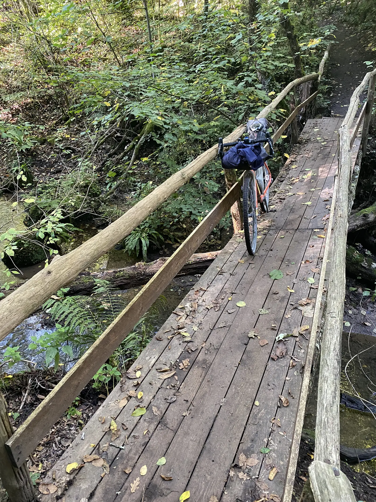 Another view of the loaded touring bike further along the same weathered plank footbridge crossing the woodland stream.