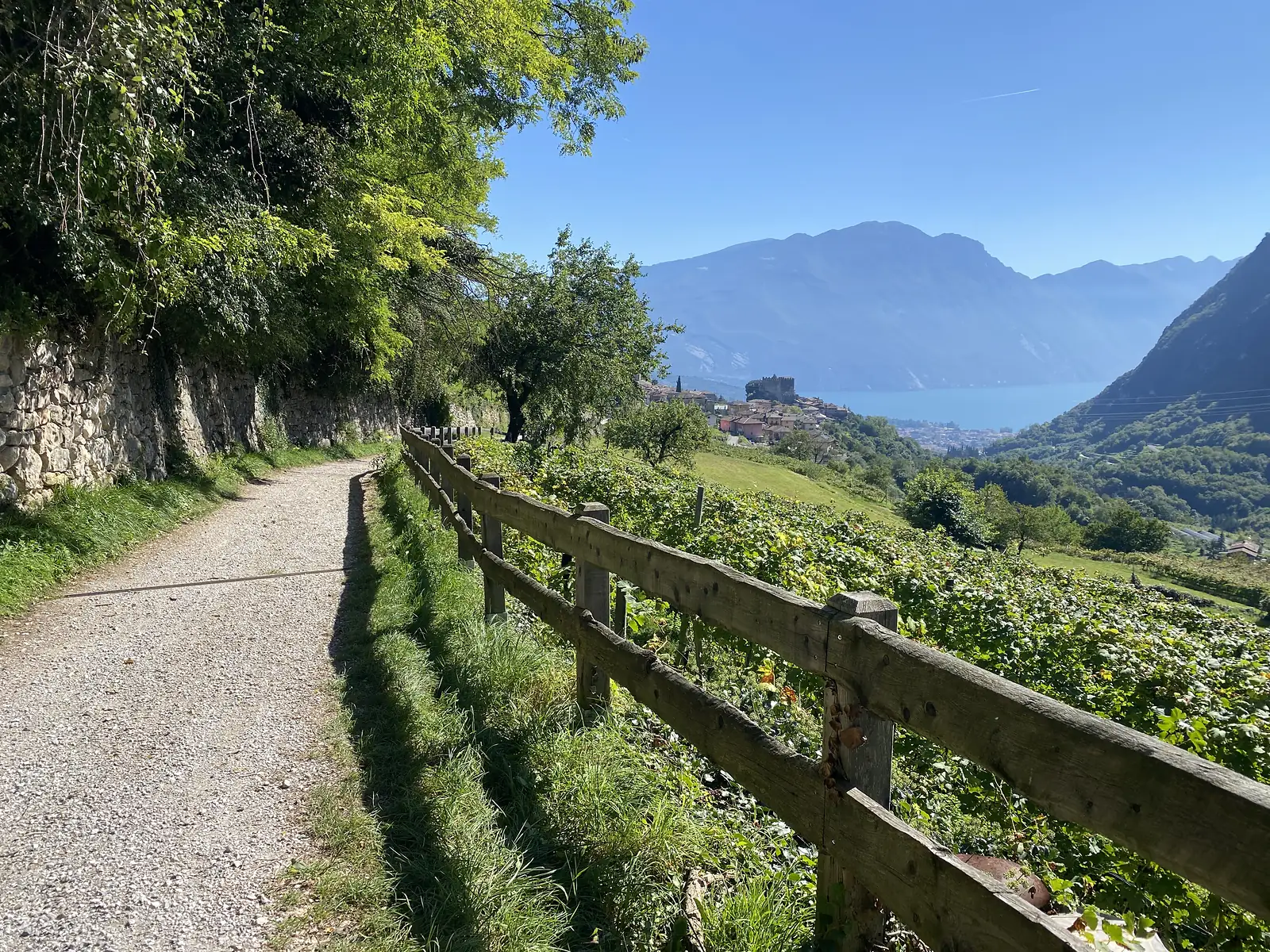 A gravel path runs beside a timber fence above terraced vineyards, looking down to a lake with a fortified building on the hillside above the town.