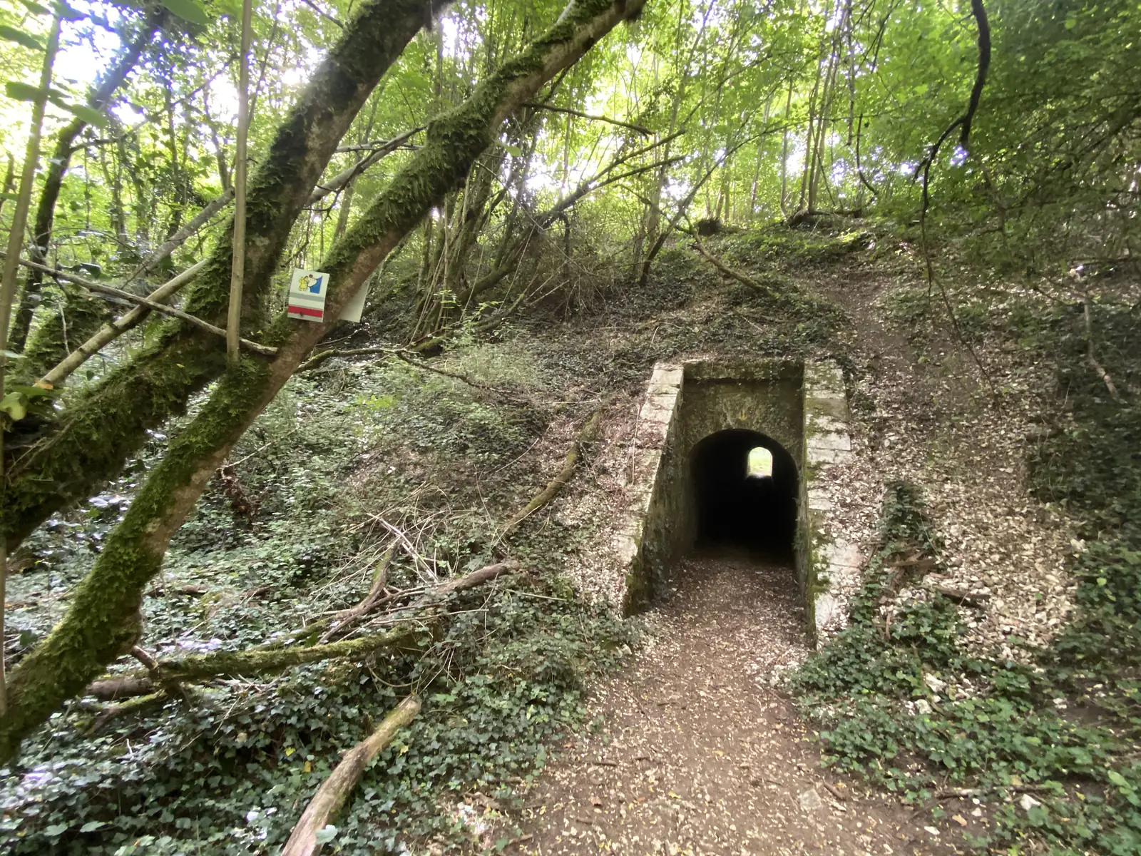 A stone tunnel cuts through a wooded bank on the Via Francigena, marked by the route's red-white-blue waymark hanging from a mossy branch.