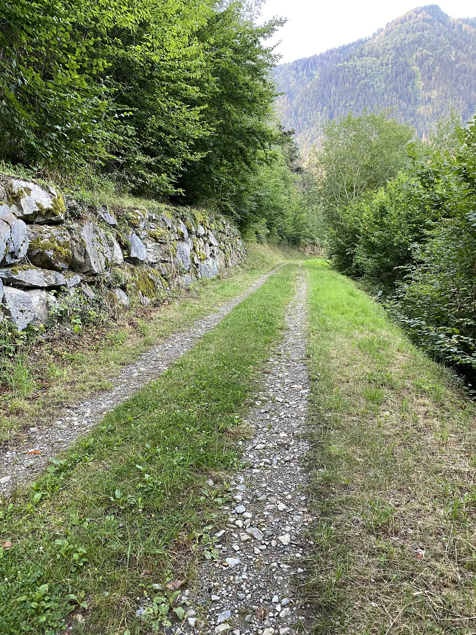 A grassy double-track gravel lane running between a moss-covered dry-stone wall and dense woodland, with a forested mountain visible ahead.