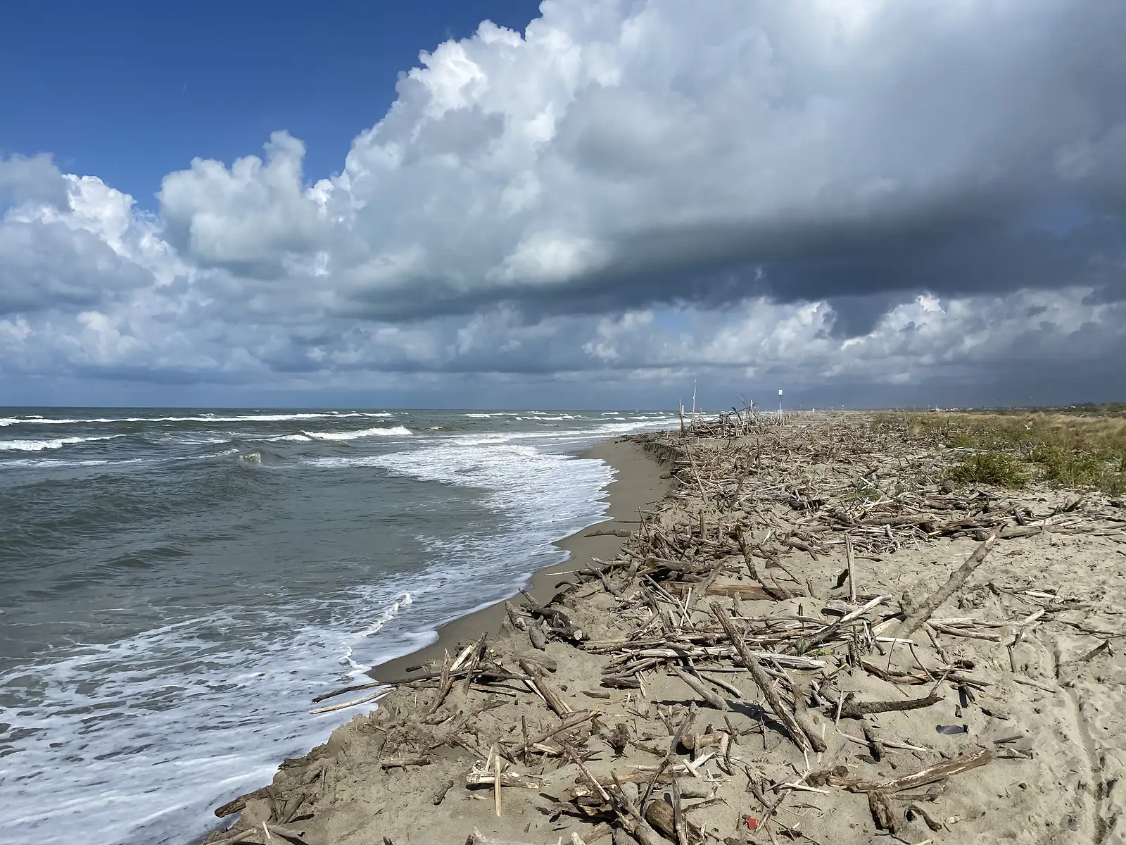 A driftwood-strewn beach on the Tyrrhenian coast with surf rolling in under a dramatic bank of storm cloud.