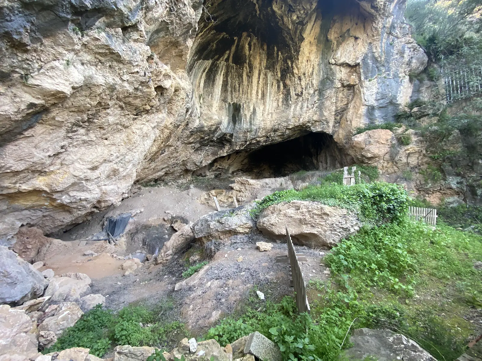 A large cave mouth deep under a limestone overhang, with an archaeological dig of sheeting and marker posts on the terrace below.