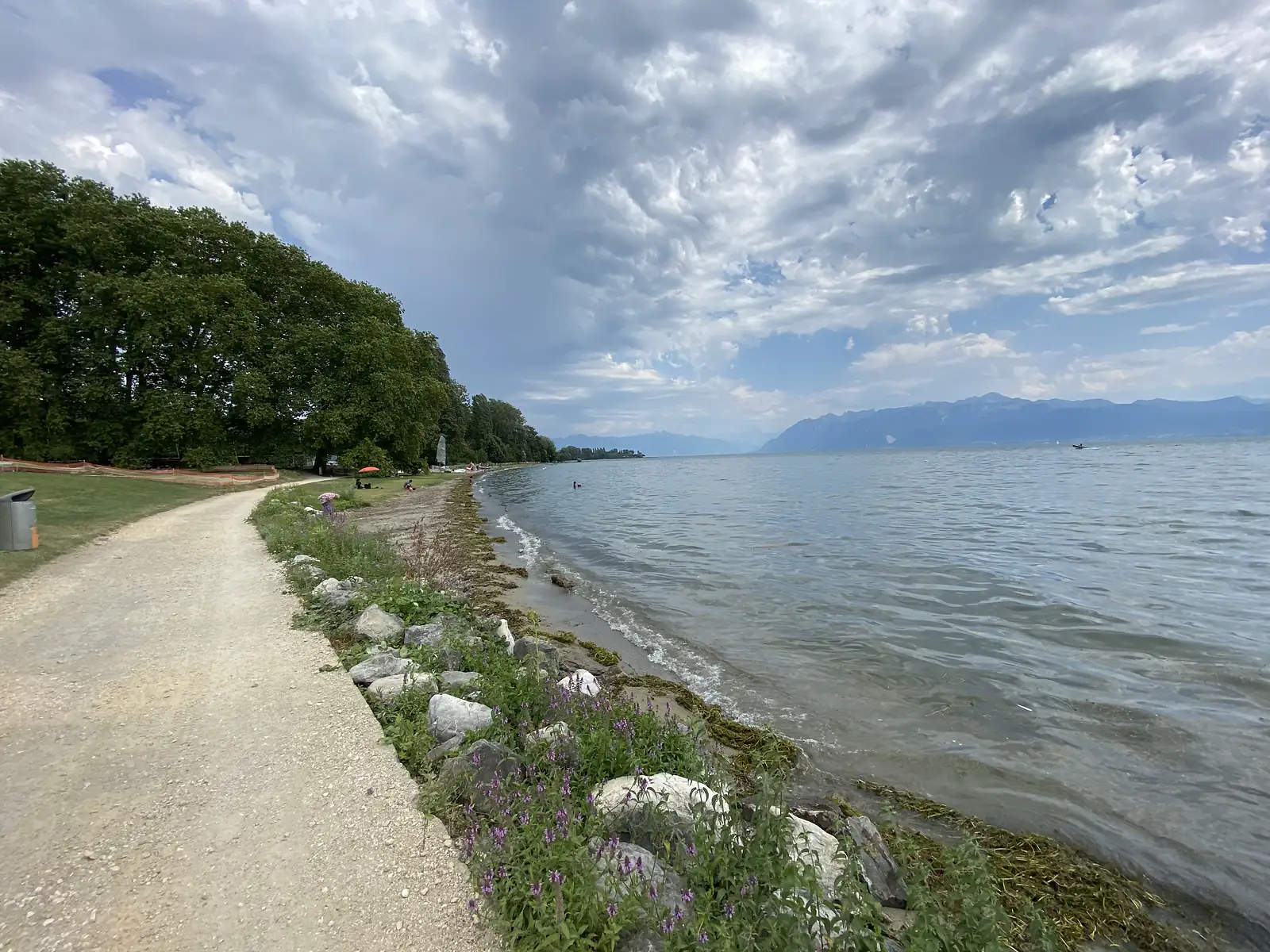 A lakeside path along Lake Geneva's shore, with wildflowers among the rocks and storm clouds gathering over distant mountains.