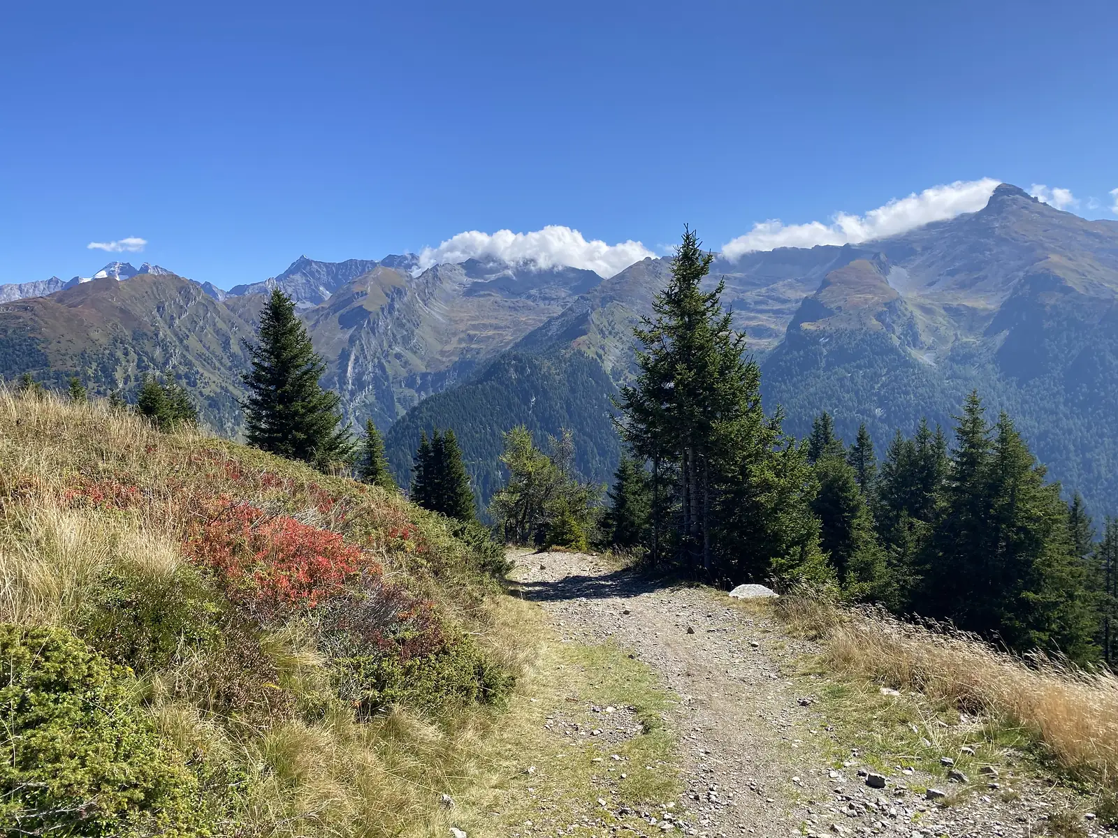 A stony track runs along a high grassy ridge past spruce and rust-red shrubs, with a long sweep of bare mountain summits opposite.