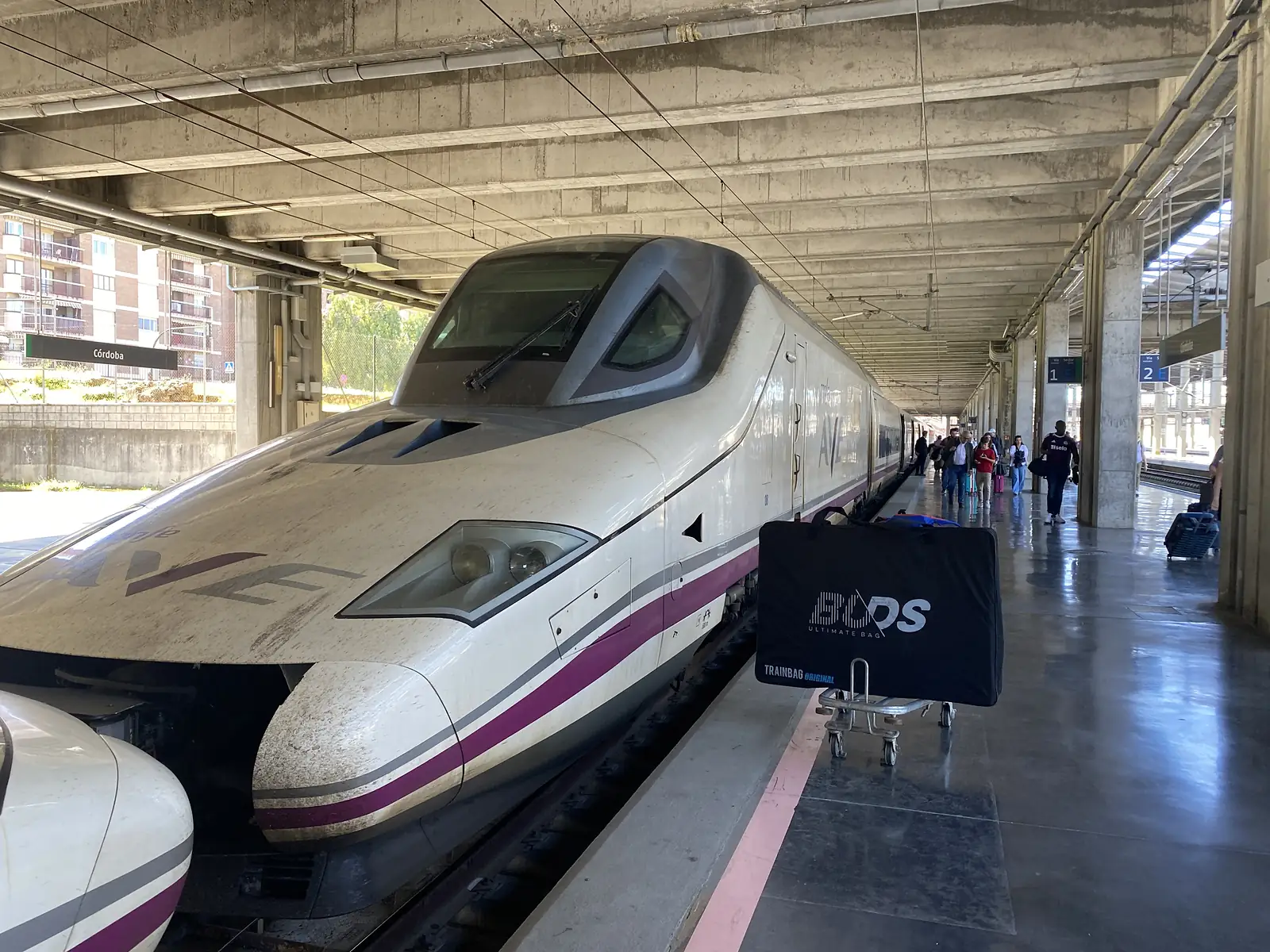 The nose of a white and purple high-speed train at a platform signed "Cordoba", a padded bike bag waiting on a trolley beside it.