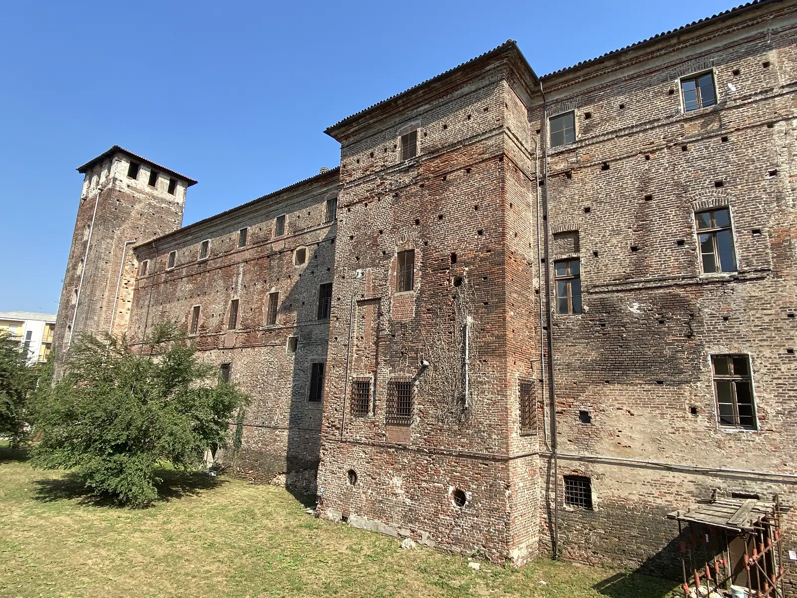 The rear wall of Ivrea's medieval brick castle, its round corner tower pierced by barred windows and grown over with a bare climbing vine, seen across a lawn shaded by a tree.