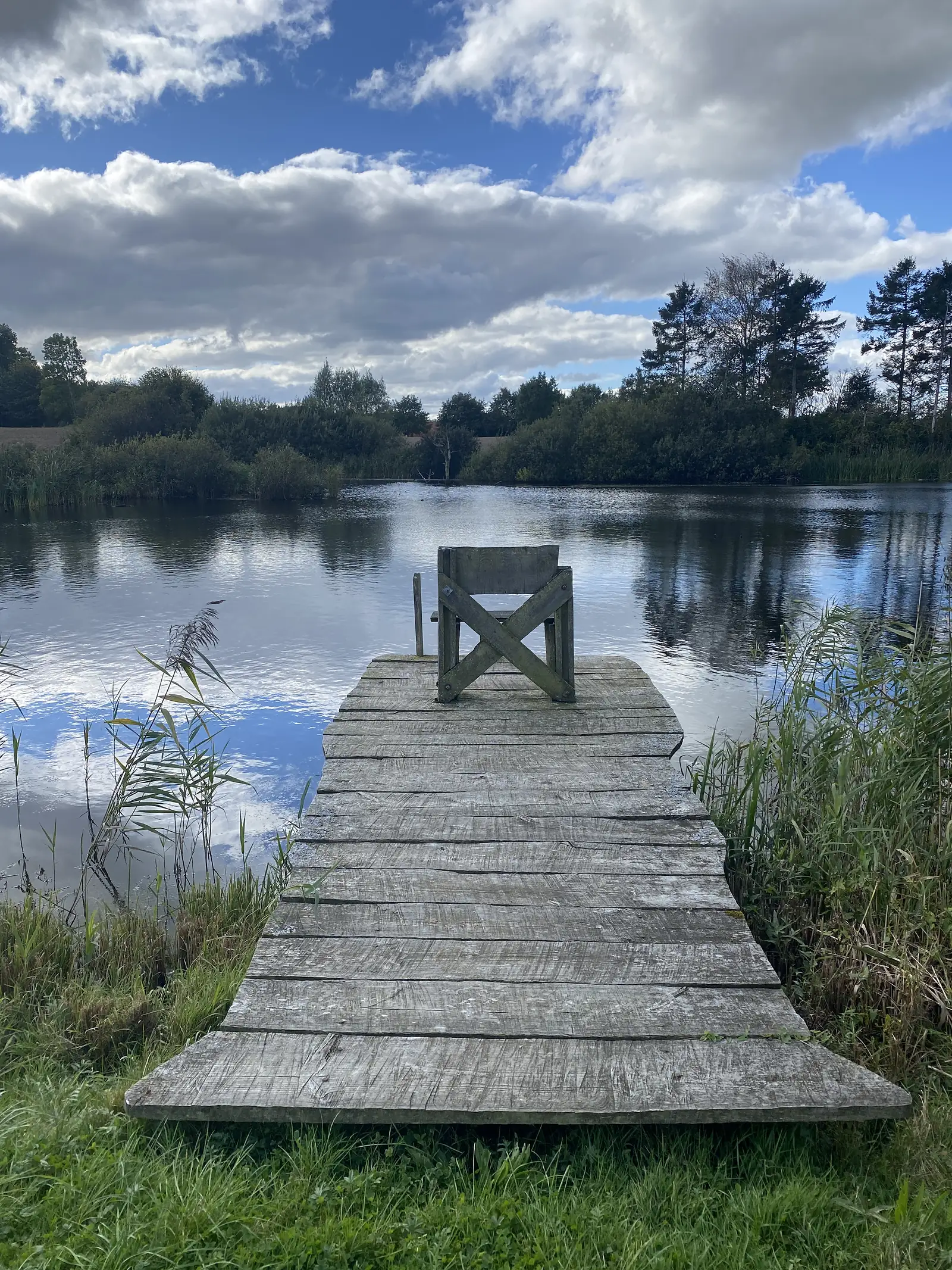 A weathered wooden jetty running out into a reedy lake with a single wooden chair at its end.