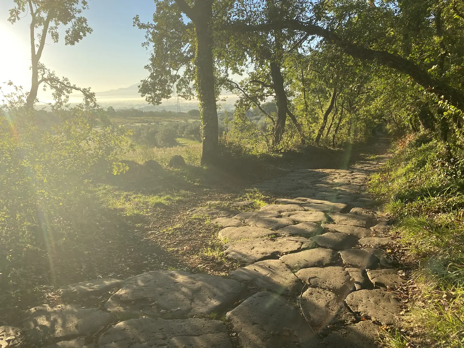 An ancient cobbled trail flanked by oak trees, morning sun flaring low over a misty valley beyond.