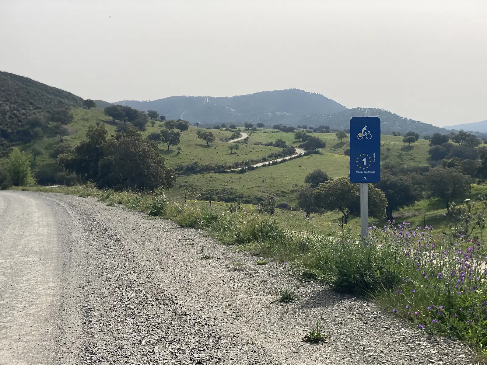 A blue cycle route sign marked "1" and "Atlantic Coast Route" standing beside a gravel track that winds away through green oak pasture towards hazy hills.