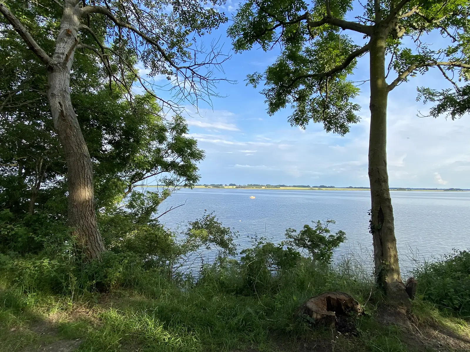 A wide calm fjord seen through trees from a grassy bank, with a small yellow boat moored offshore and low farmland on the far shore.