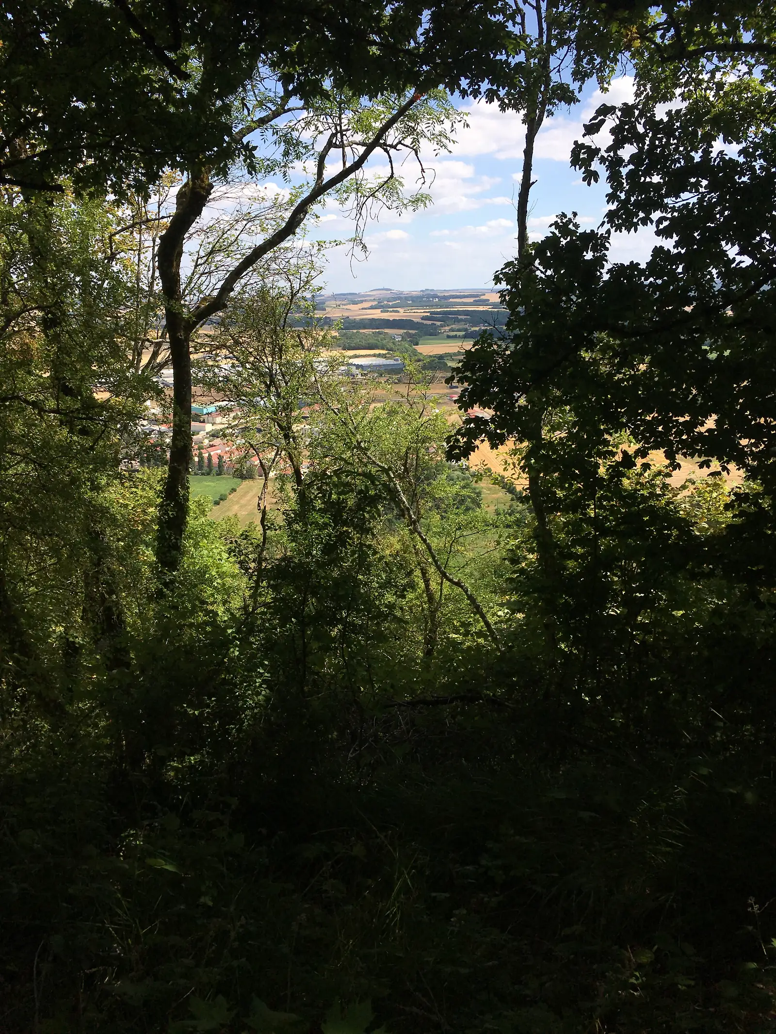 A hilltop town spreads across the valley floor, glimpsed through a gap in the tree canopy.
