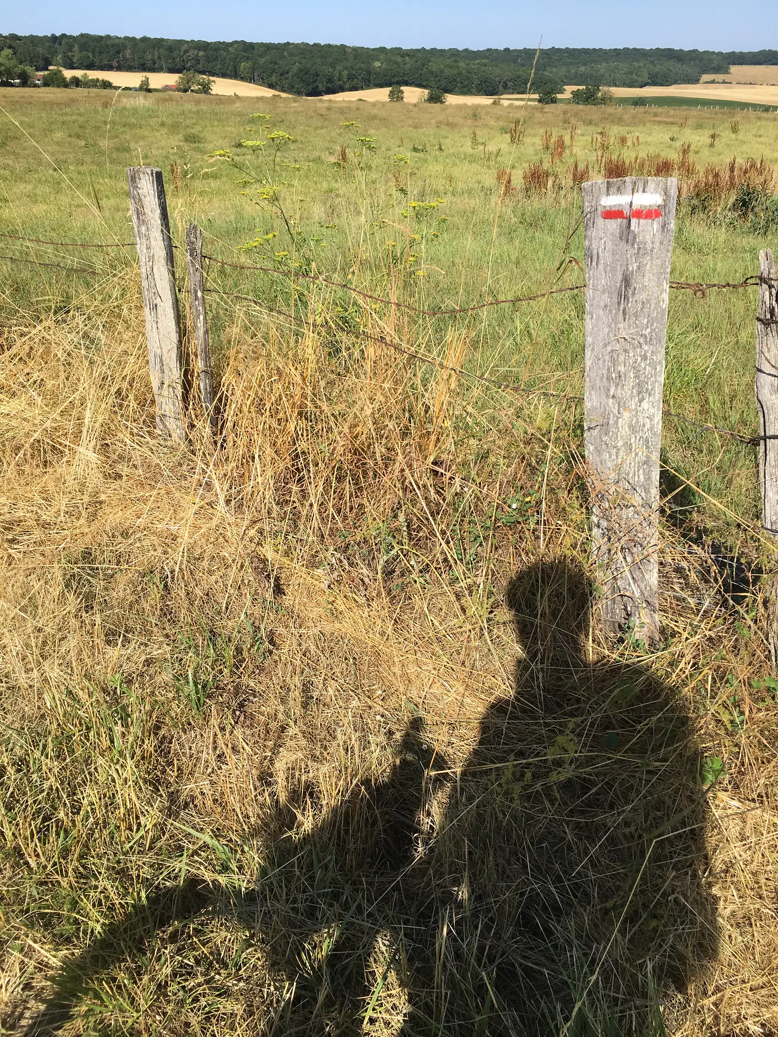The photographer's shadow falls across a red-and-white GR waymark painted on a low wooden post standing in a field of cut hay.