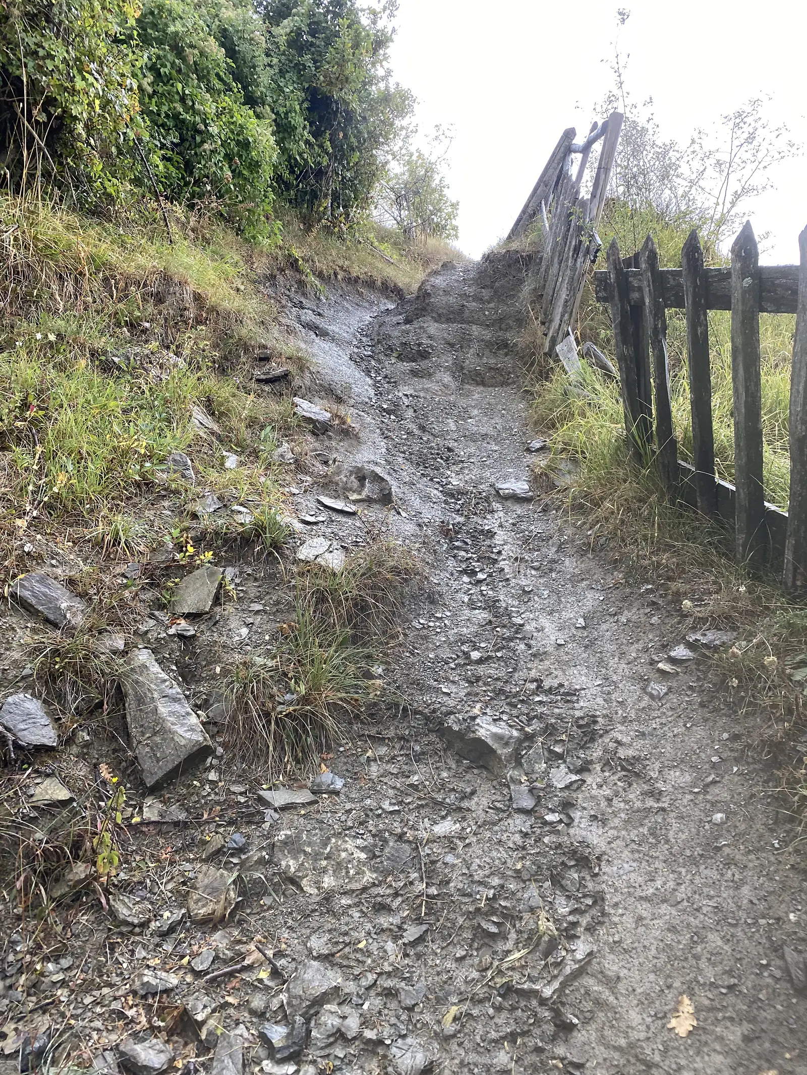 A rough stony track strewn with loose shale passes a rickety wooden farm gate propped open at the field edge.