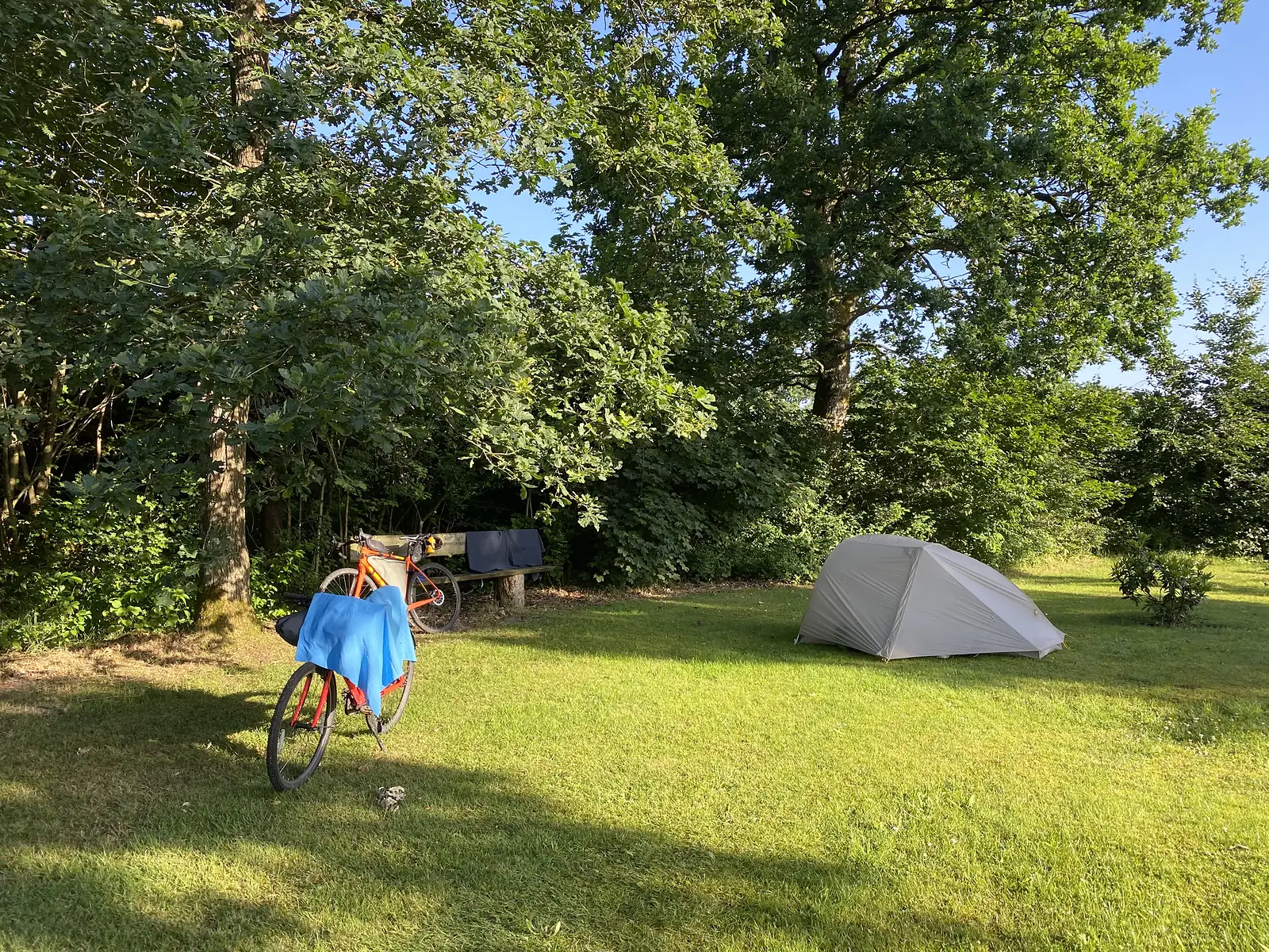 A campsite in a sunlit grassy clearing with a grey dome tent pitched and two loaded bikes propped by a bench under oaks.
