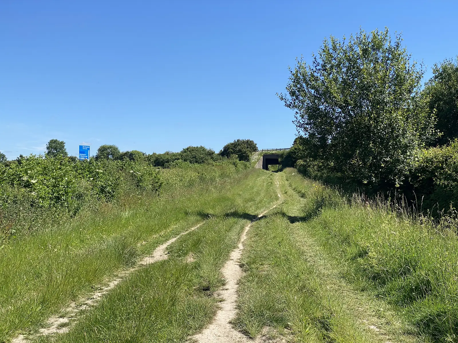 A grassy double-track running between hedges towards a motorway underpass, with a blue road sign showing above the hedge.