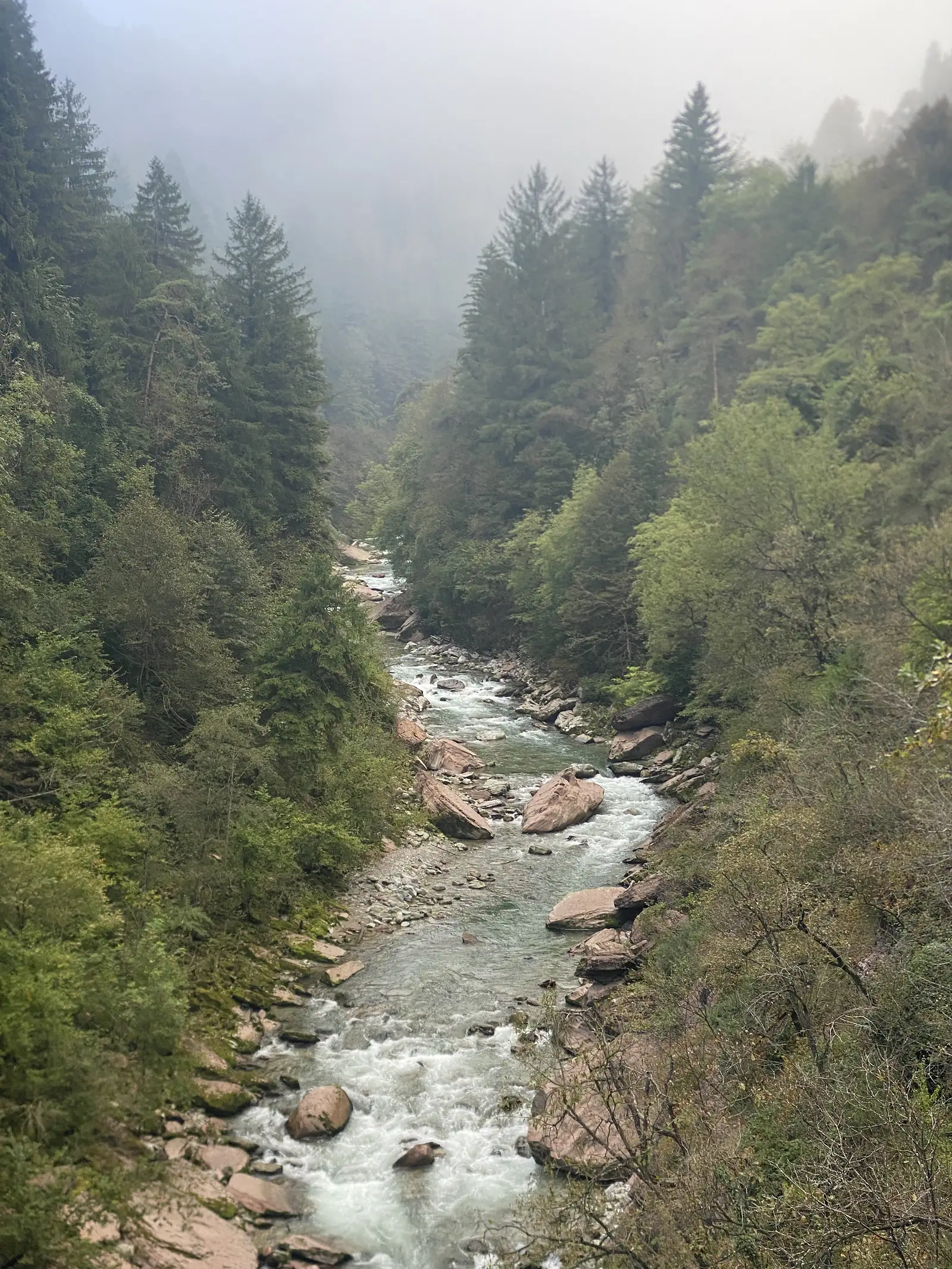 A boulder-strewn river runs white through a steep forested gorge, with mist hanging in the conifers above.