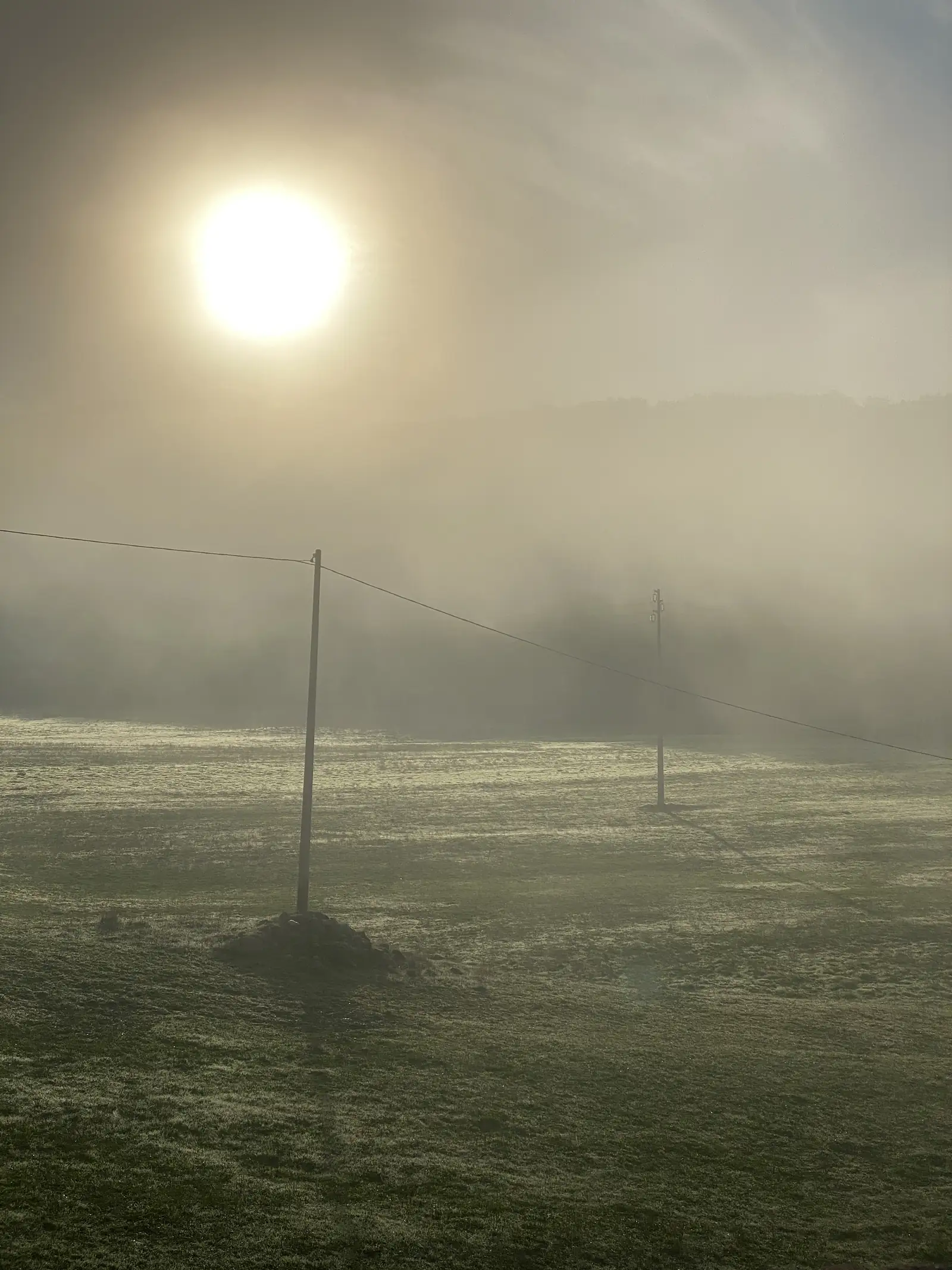 A hazy sun glowing through thick mist over a frost-dusted field, with two power poles silhouetted against the glare.