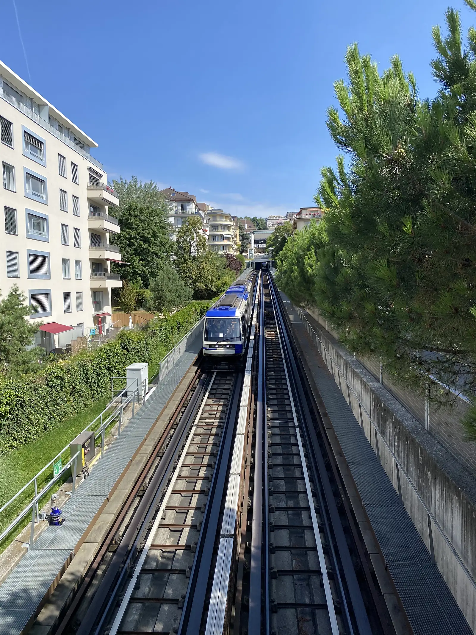 A blue-and-white Lausanne metro train approaching along an elevated track between an apartment block and a line of pine trees.