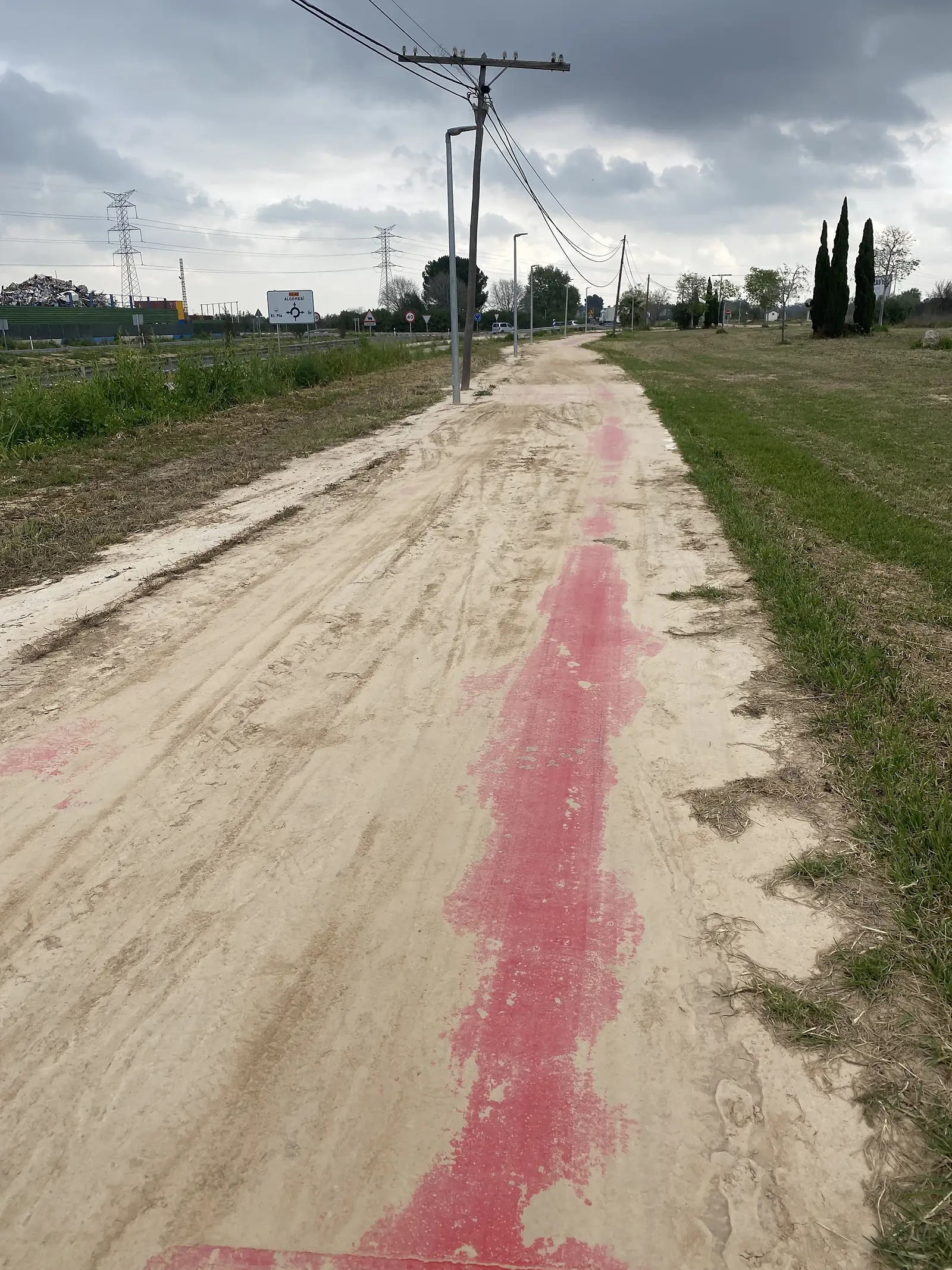 A pink-surfaced cycle path buried under dried pale flood mud, running beside a road signed "ALGEMESI" under electricity pylons.