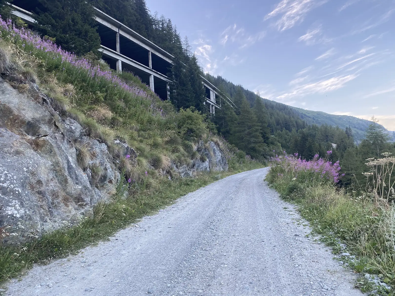 A gravel track cut into a rocky hillside passes beneath the concrete piers of an avalanche gallery, with pink fireweed flowering along the verge.