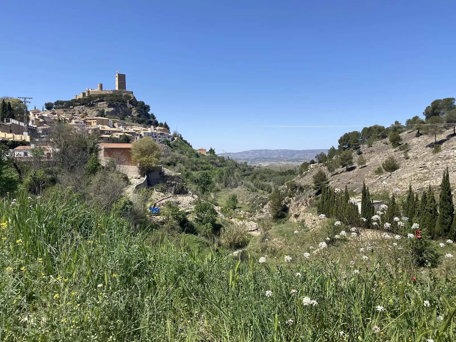 A hilltop castle with a square keep flying a flag above an ochre town, seen across a green wildflower meadow and cypress-dotted slopes.