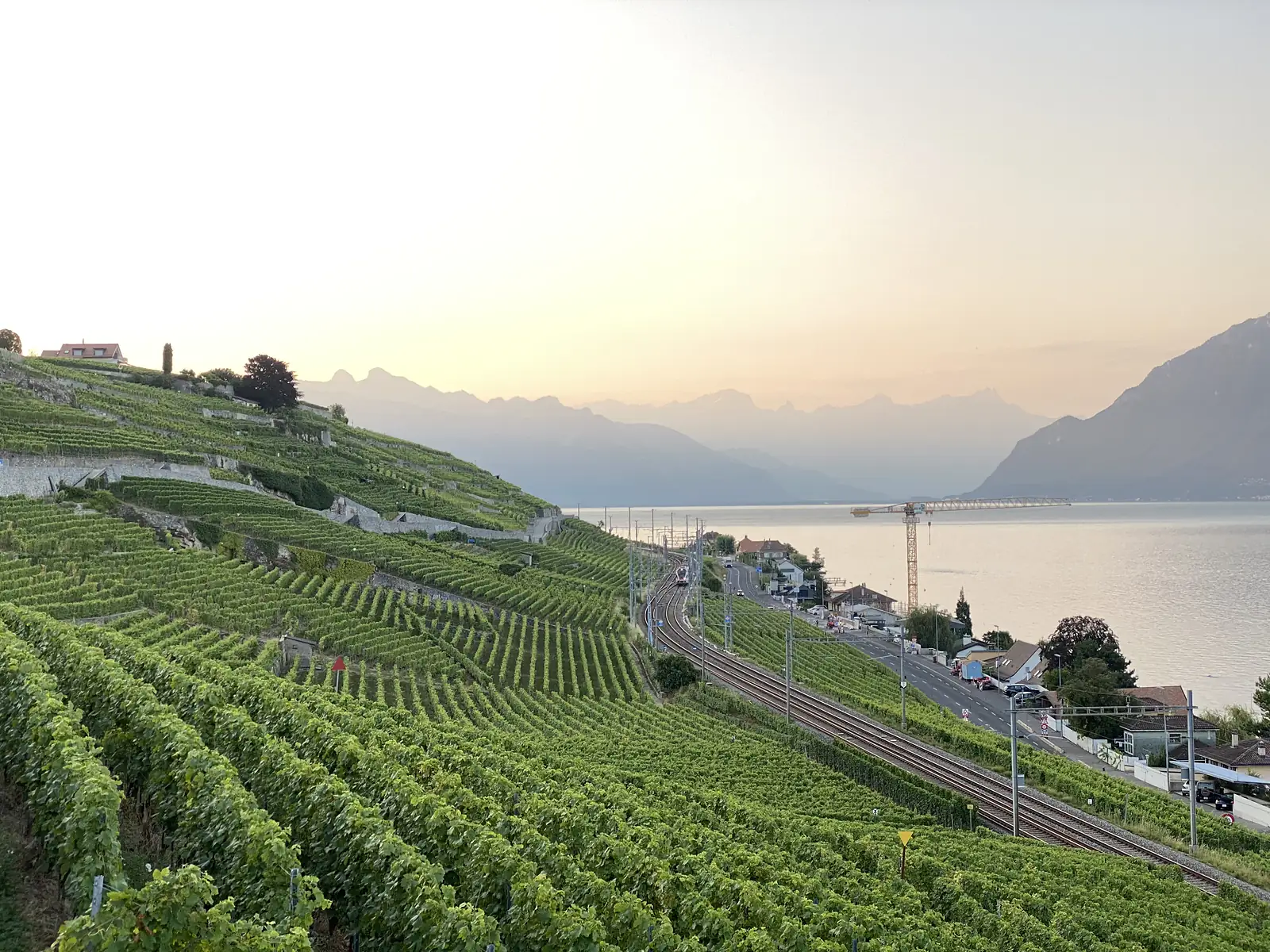 Terraced Lavaux vineyards stepping down to Lake Geneva at sunset, with a railway line and lakeside road running along the shore and a construction crane by the water.