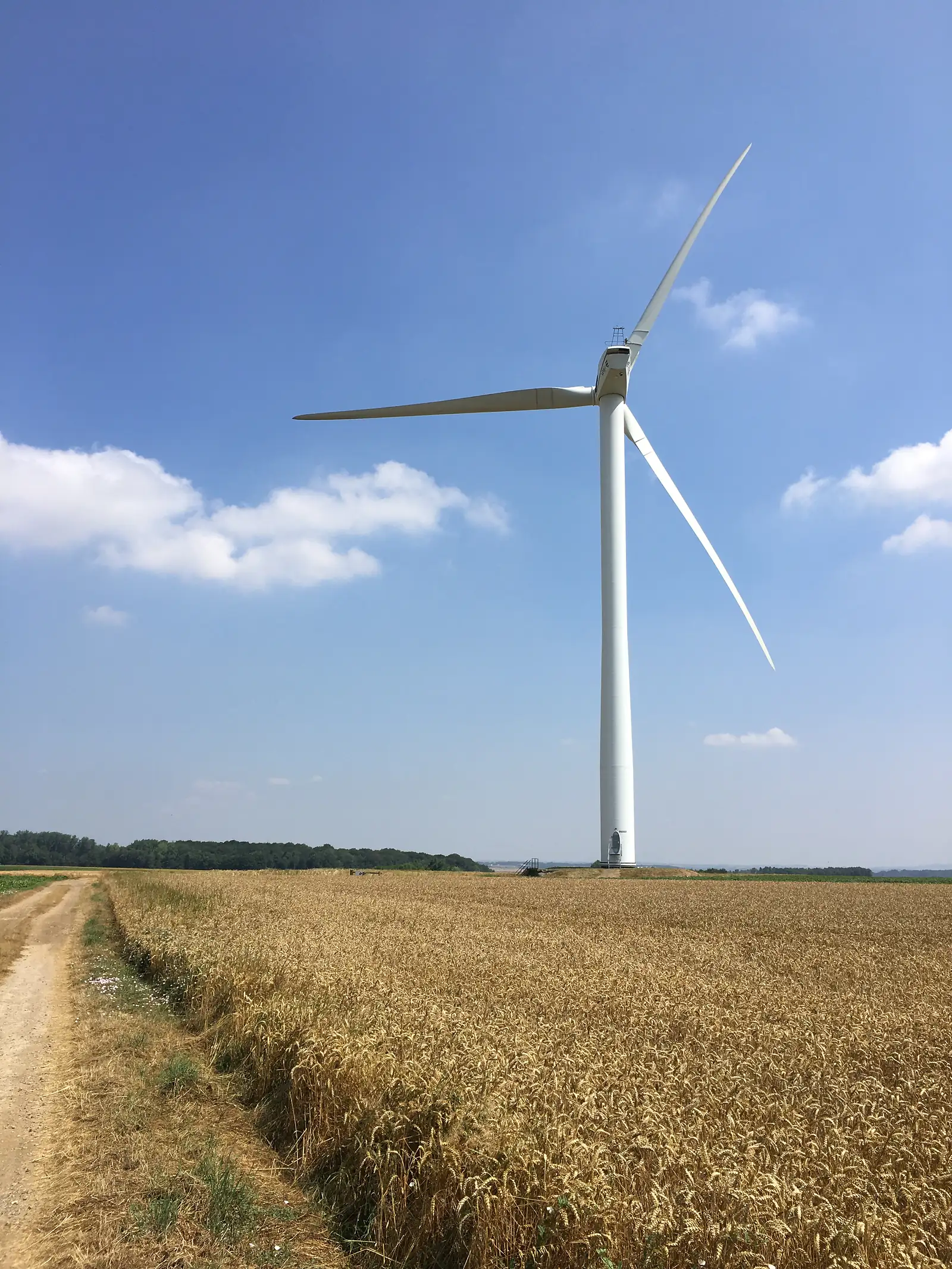 A wind turbine towers over a golden wheat field beneath a mostly blue sky with scattered clouds.