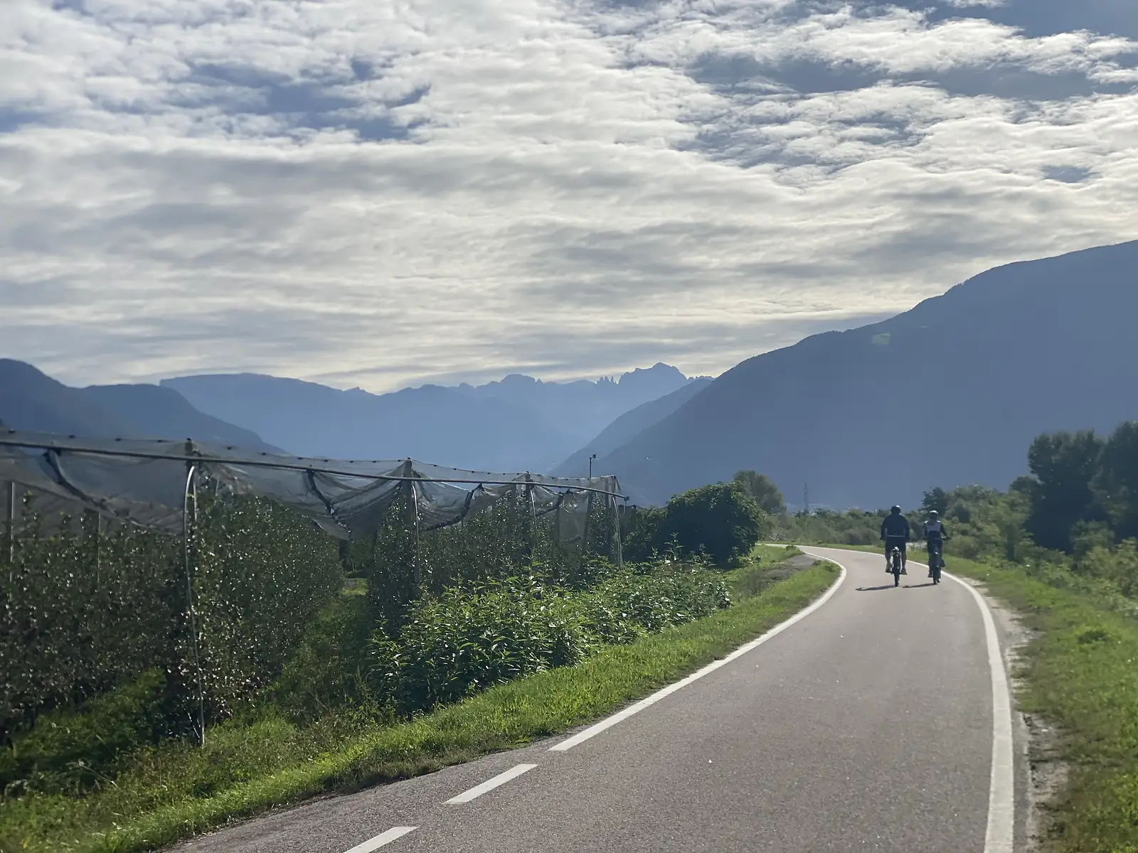 Two cyclists ride away along a cycle path beside netted apple orchards, with jagged pale peaks showing through the haze ahead.