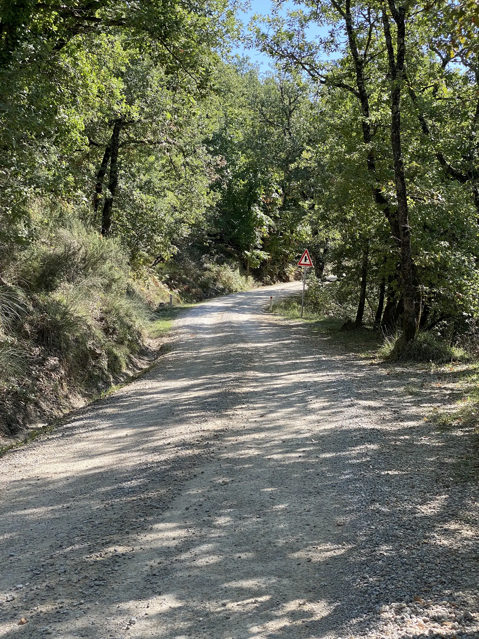 A gravel road descending through dappled shade beneath overhanging trees, with a triangular hillside gradient warning sign at the roadside.