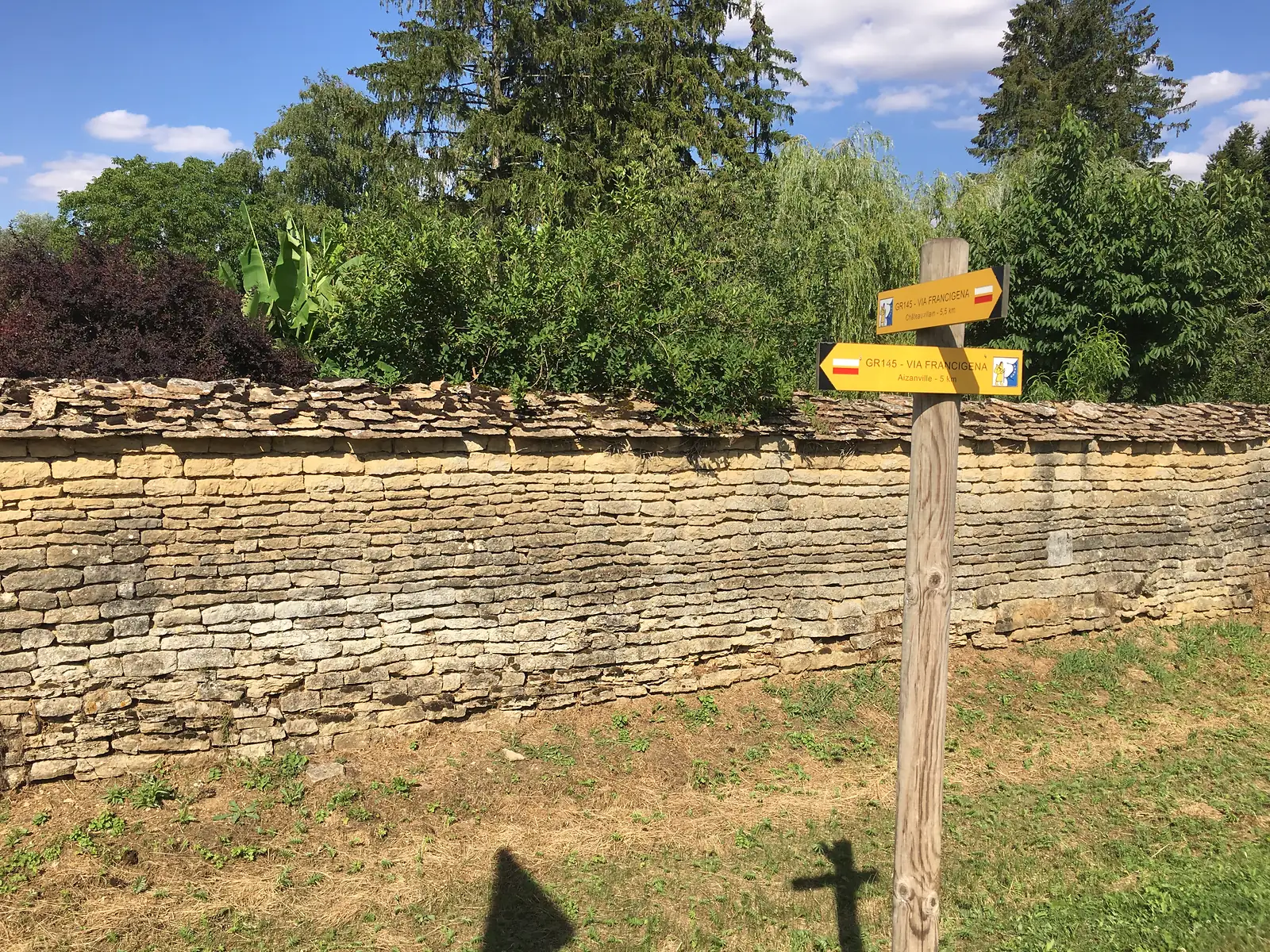 Two yellow GR145 Via Francigena waymarks point along a dry stone wall, backed by tall conifers and a banana plant.