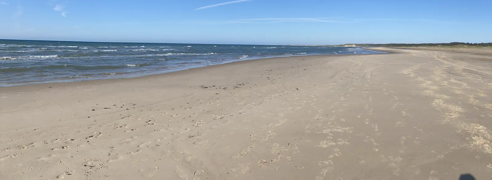 An ultra-wide view of an empty sandy beach curving away to distant dunes under a clear blue sky.