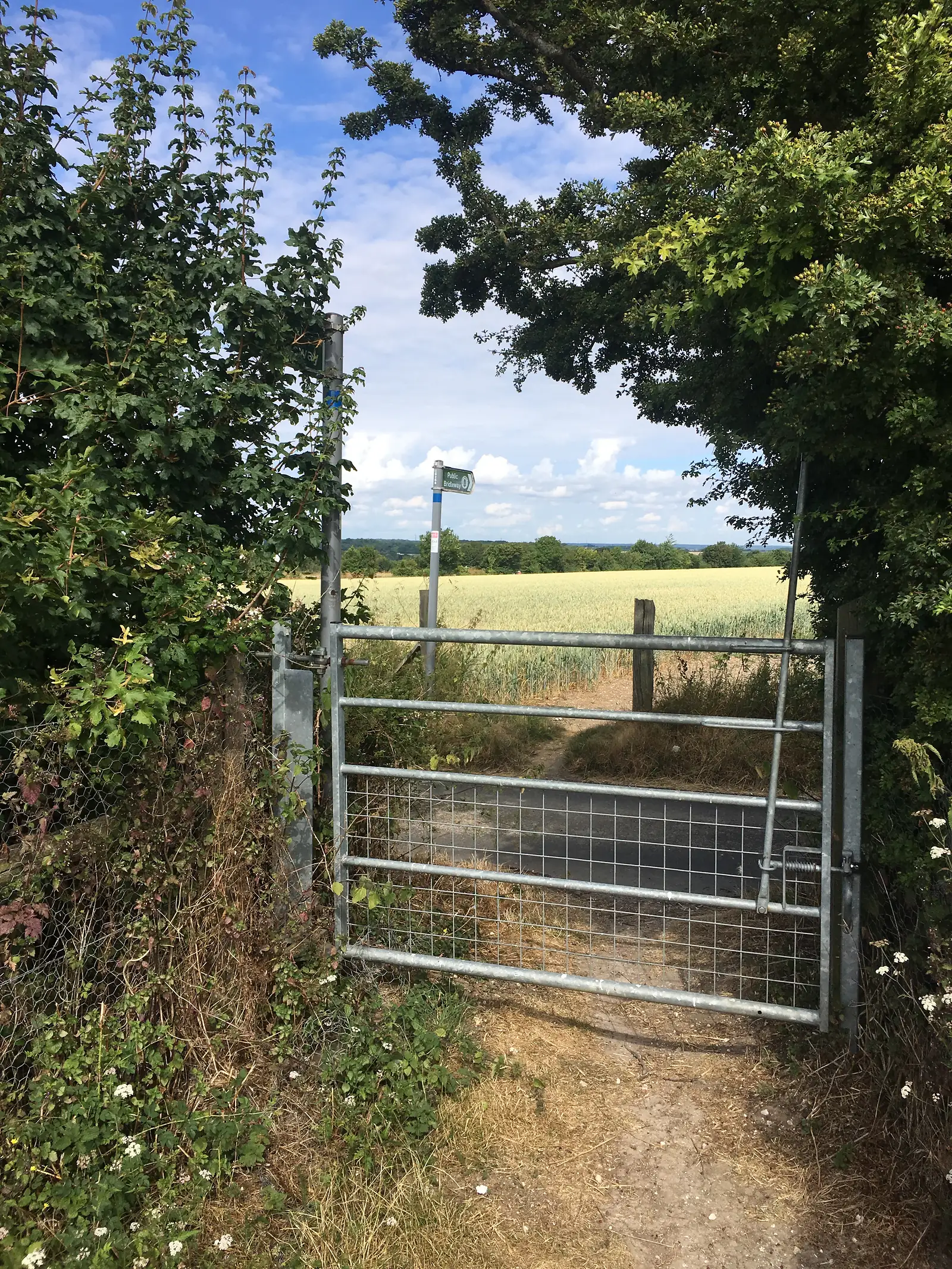 Silver gate
